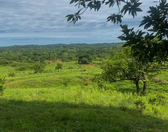 Lote en venta - Cáceres, Antioquia - 1
