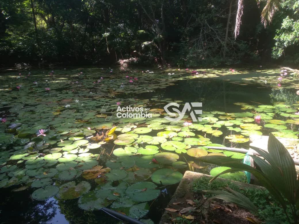 Finca en venta - Santa Marta - Magdalena  - 6