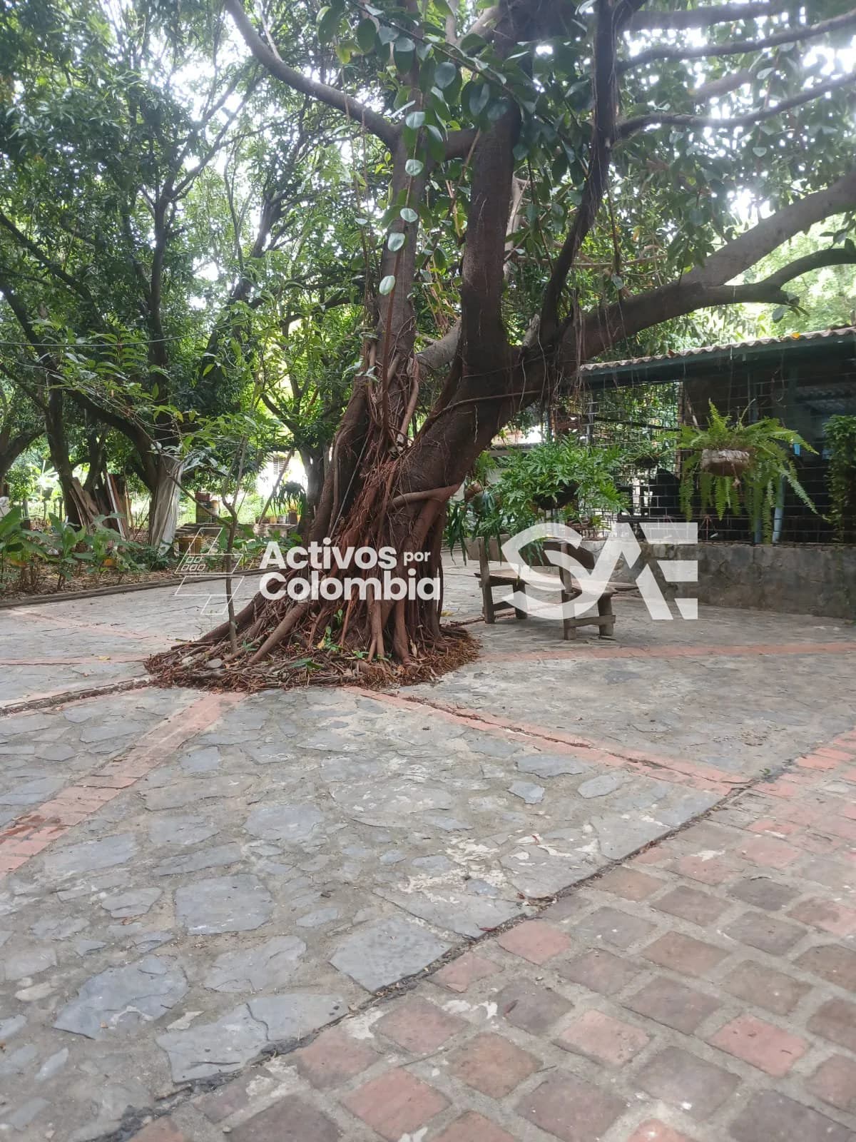 Finca en venta - Santa Marta - Magdalena  - 8