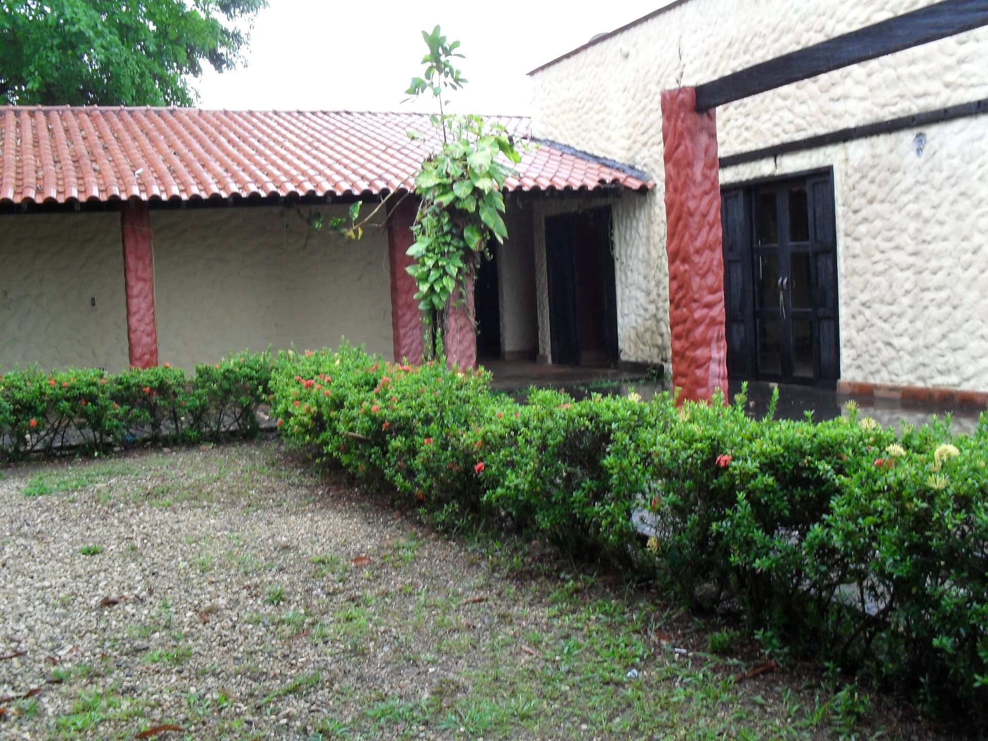 Hacienda en venta - Cáceres, Antioquia - 1