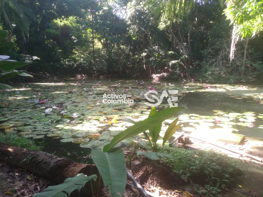 Finca en venta - Santa Marta - Magdalena  - 7