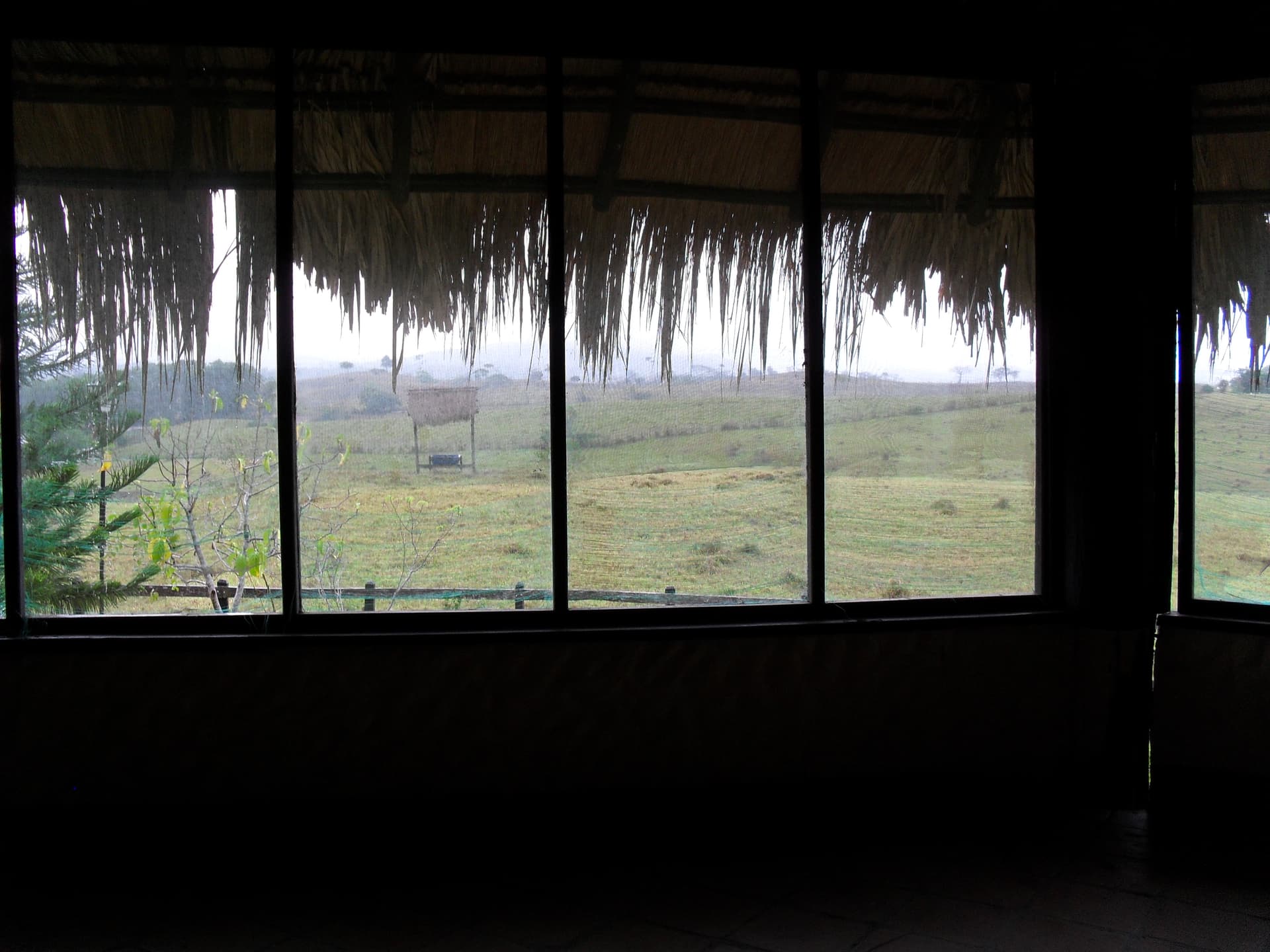 Hacienda en venta - Cáceres, Antioquia - 3