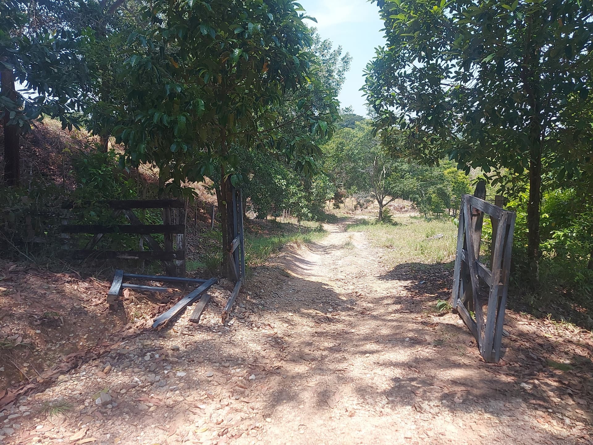 Parcela en Venta - Sonsón, Antioquia - 5