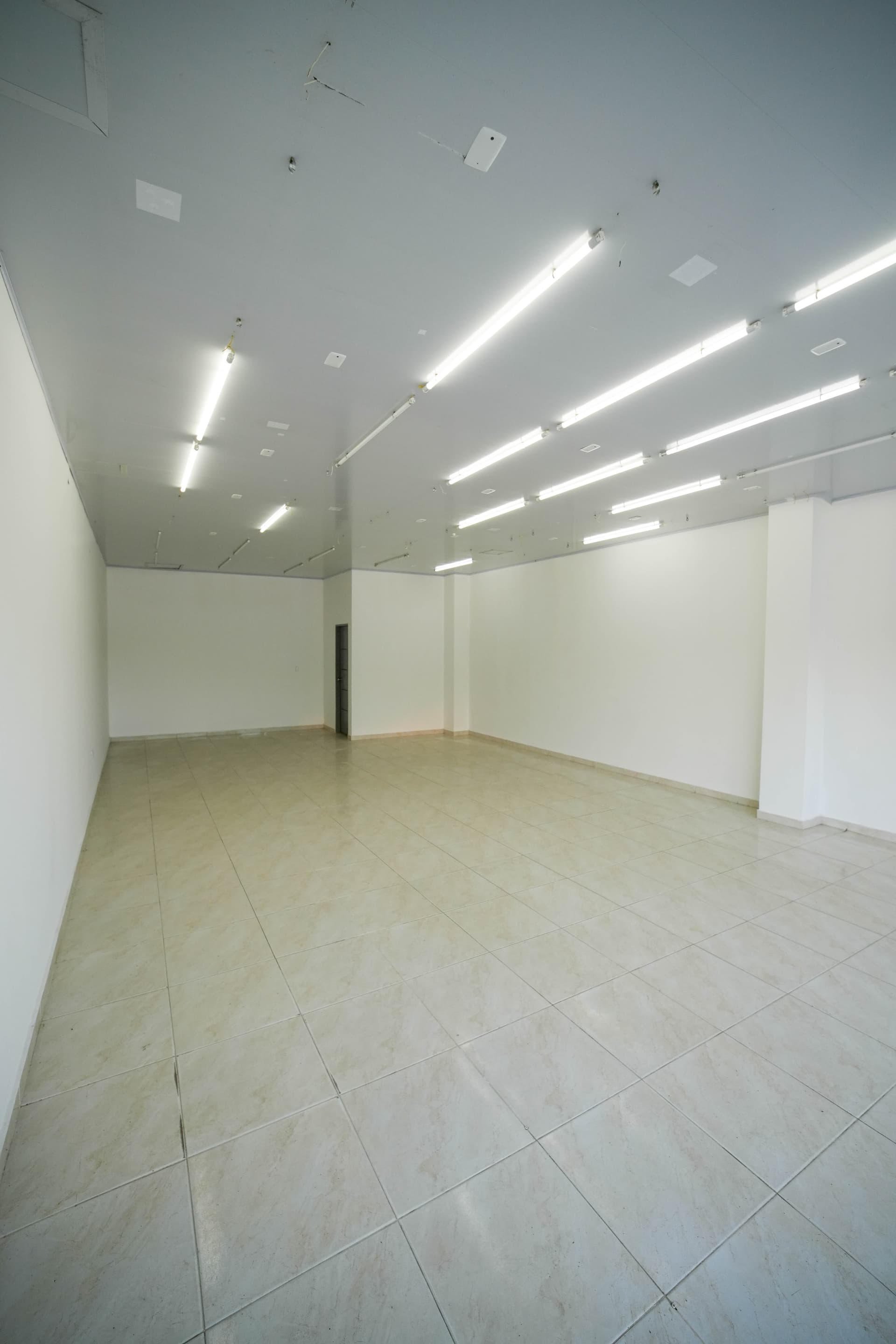Local en Arriendo- Santa Catalina  - Bolivar - 4