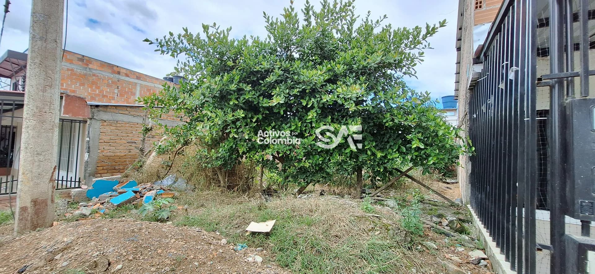 Lote en venta - Pitalito, Huila - 4