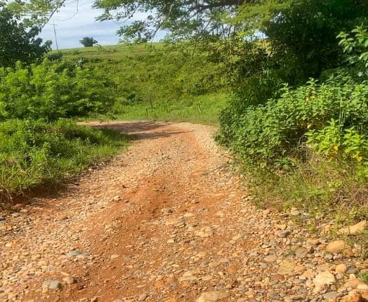 Lote en venta - Cáceres, Antioquia - 2