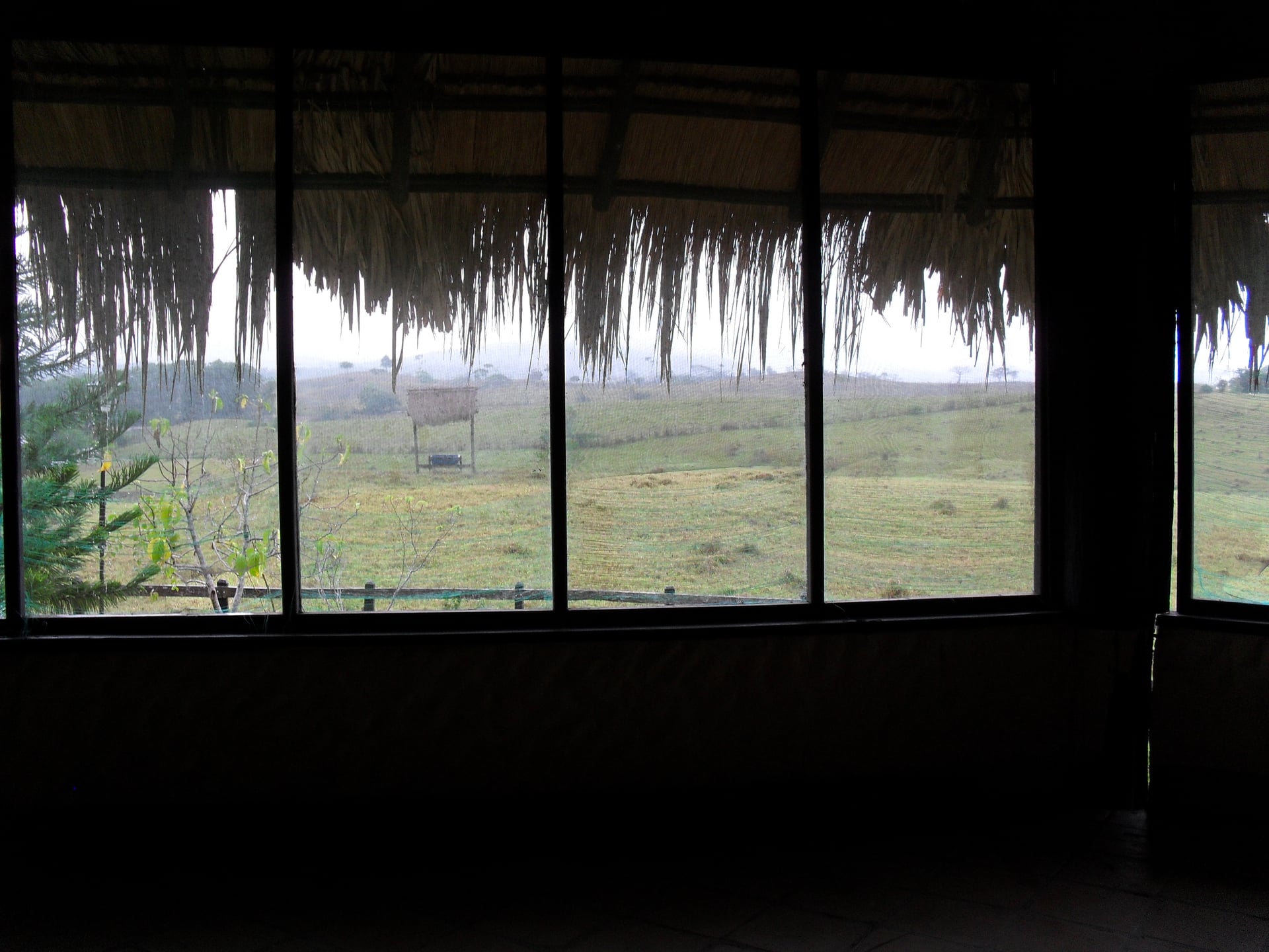 Hacienda en venta - Cáceres, Antioquia - 3