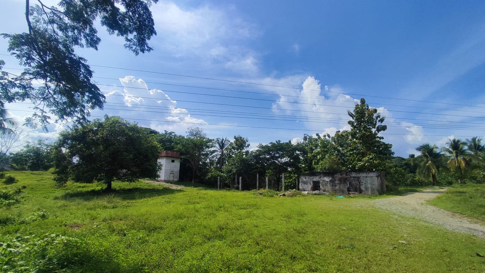 FINCA en Gestion - TARAZÁ, ANTIOQUIA - 4
