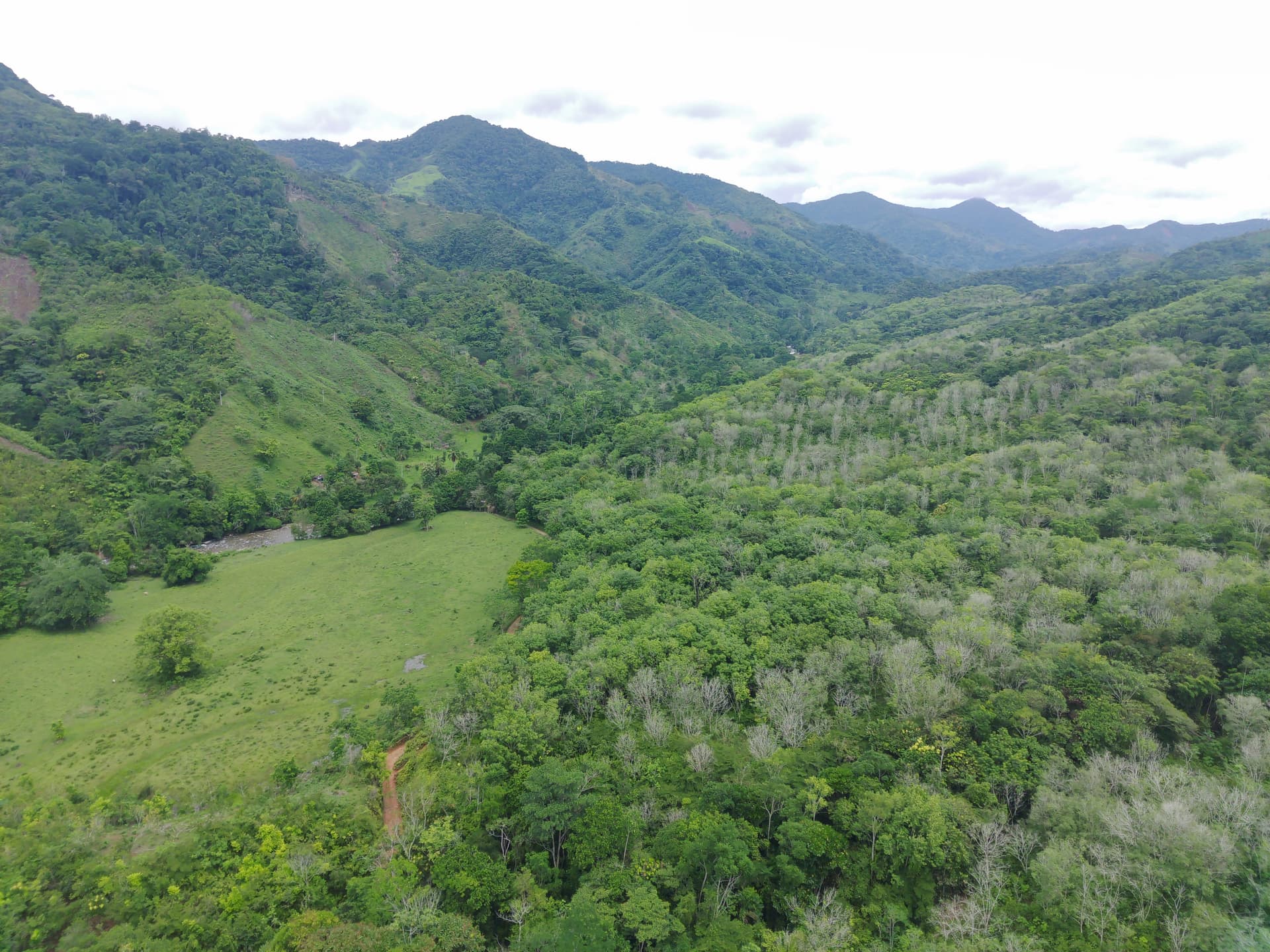FINCA en Gestion - TARAZÁ, ANTIOQUIA - 2