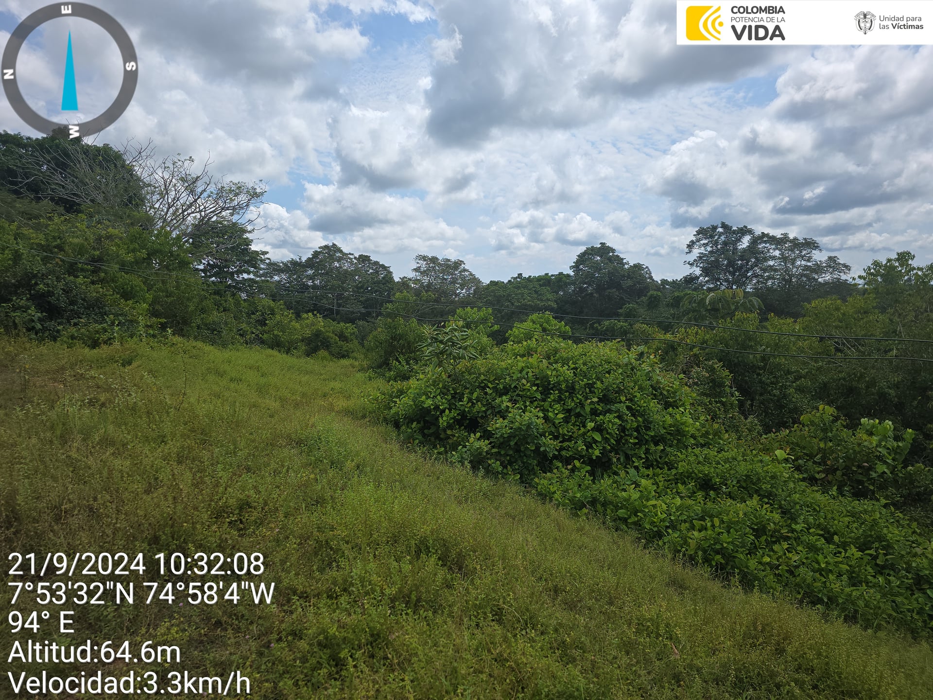 FINCA en Gestion - CAUCASIA, ANTIOQUIA - 34