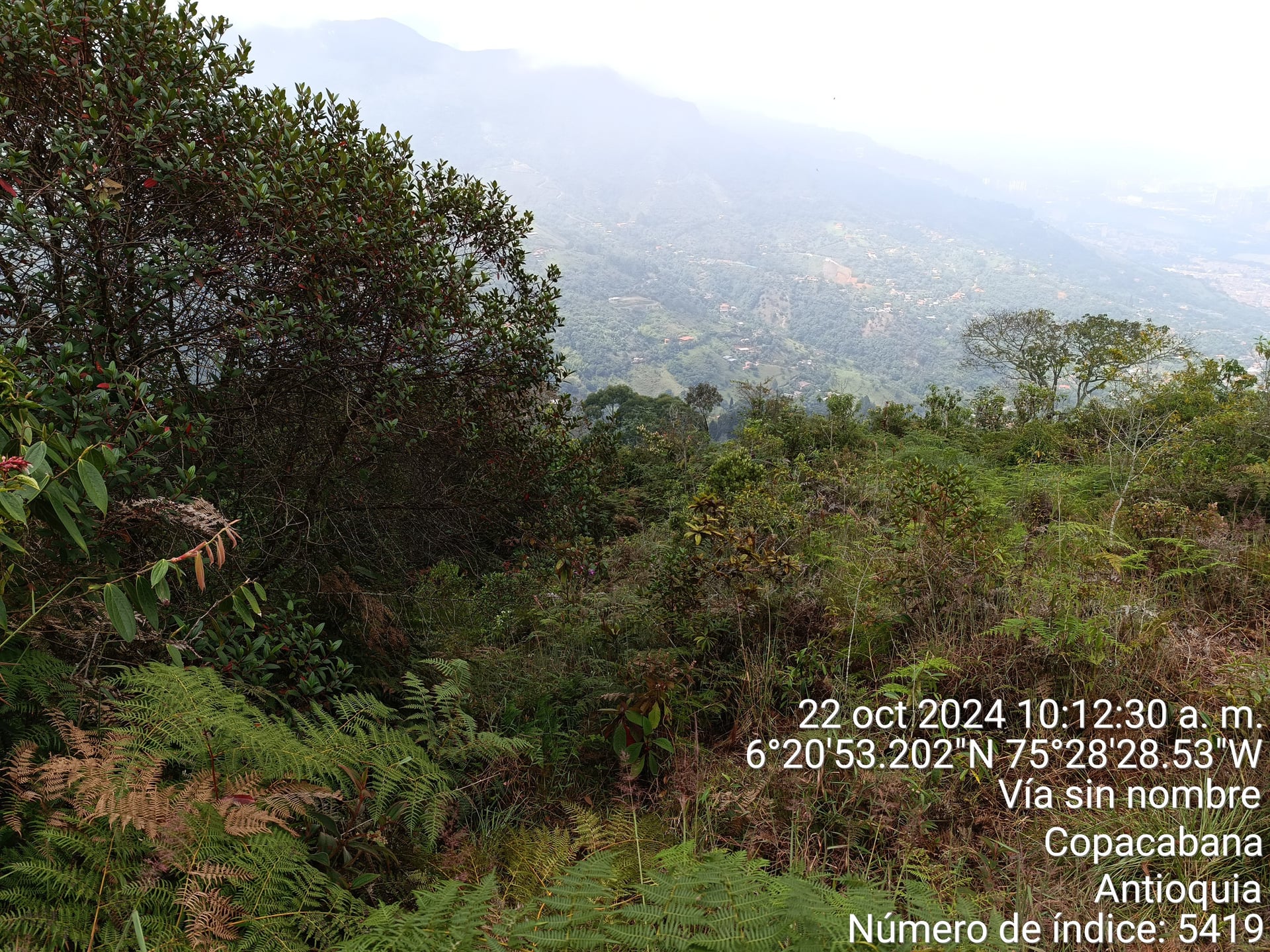 FINCA en Gestion - COPACABANA, ANTIOQUIA - 4