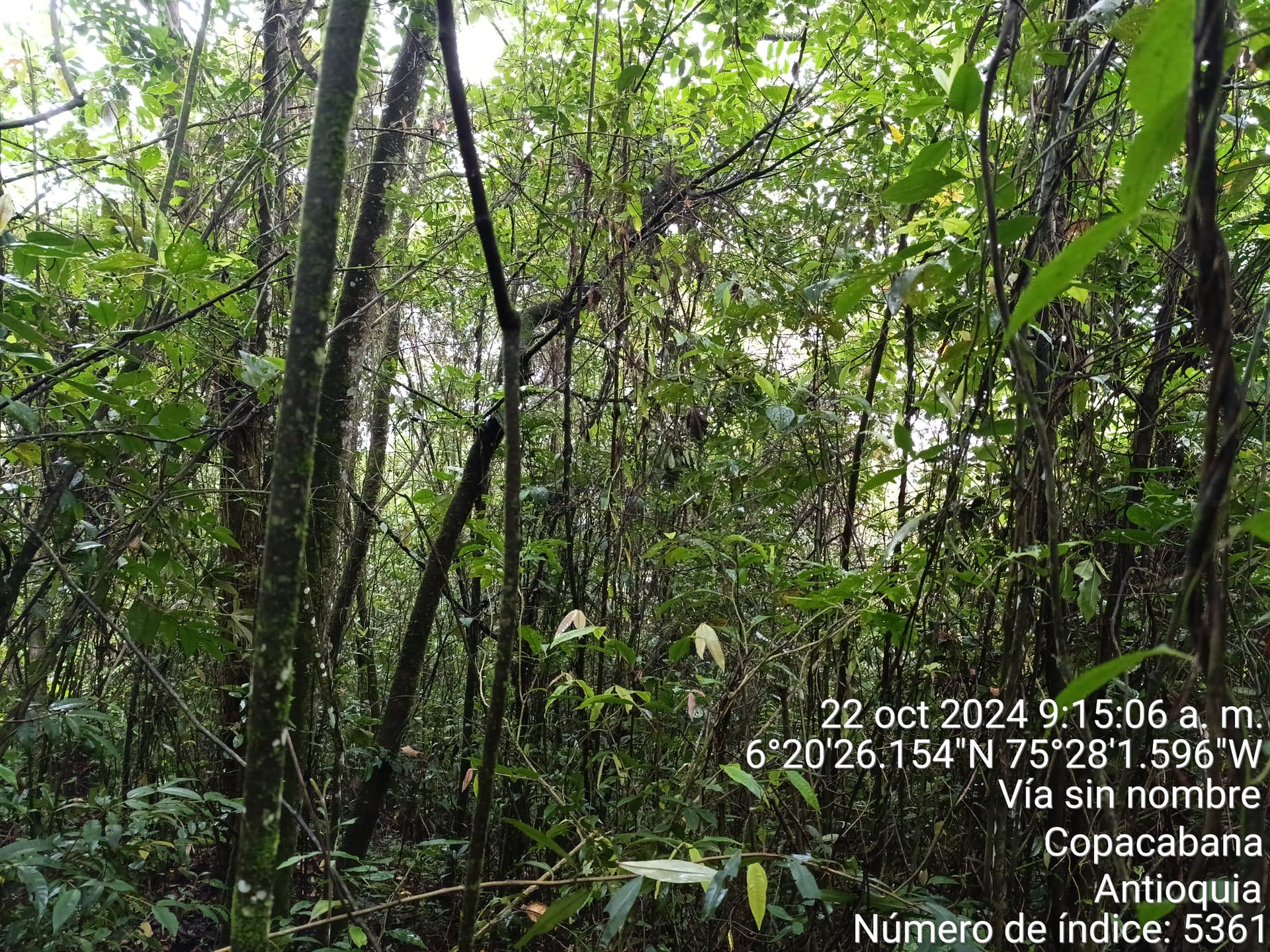 LOTE en Gestion - COPACABANA, ANTIOQUIA - 10