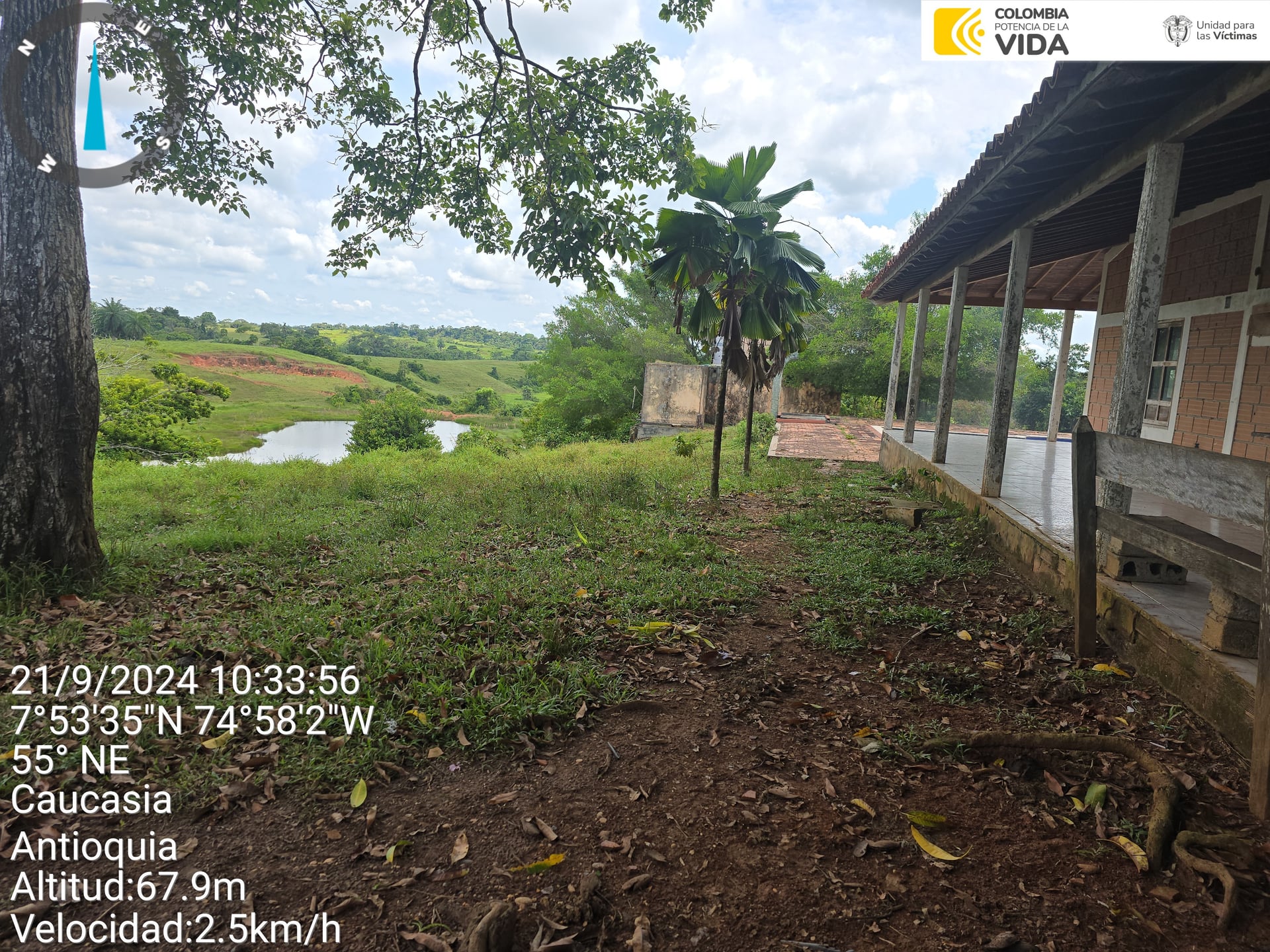 FINCA en Gestion - CAUCASIA, ANTIOQUIA - 17