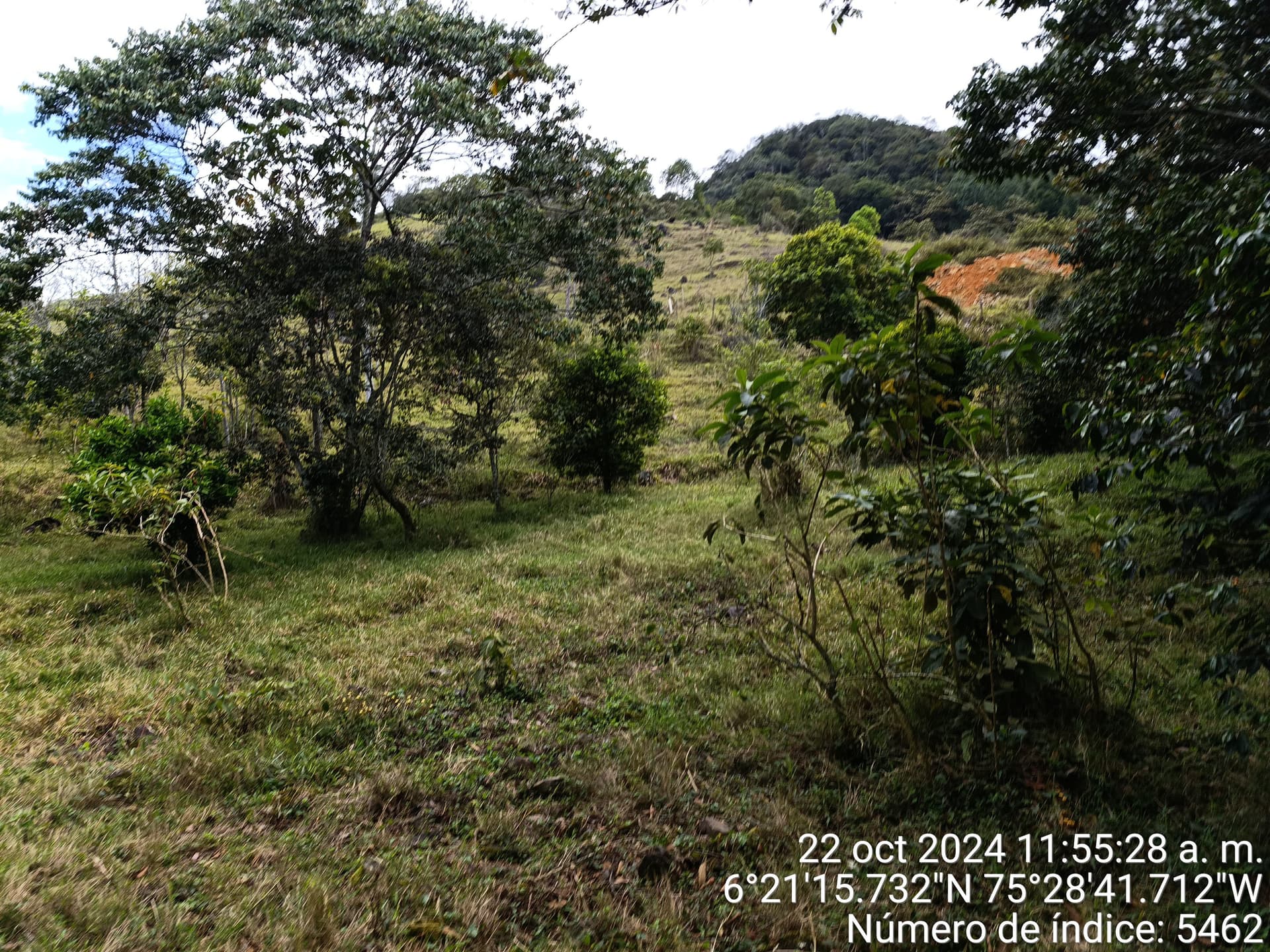 LOTE en Gestion - COPACABANA, ANTIOQUIA - 8