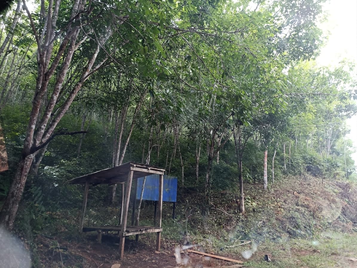 FINCA en Gestion - TARAZÁ, ANTIOQUIA - 3