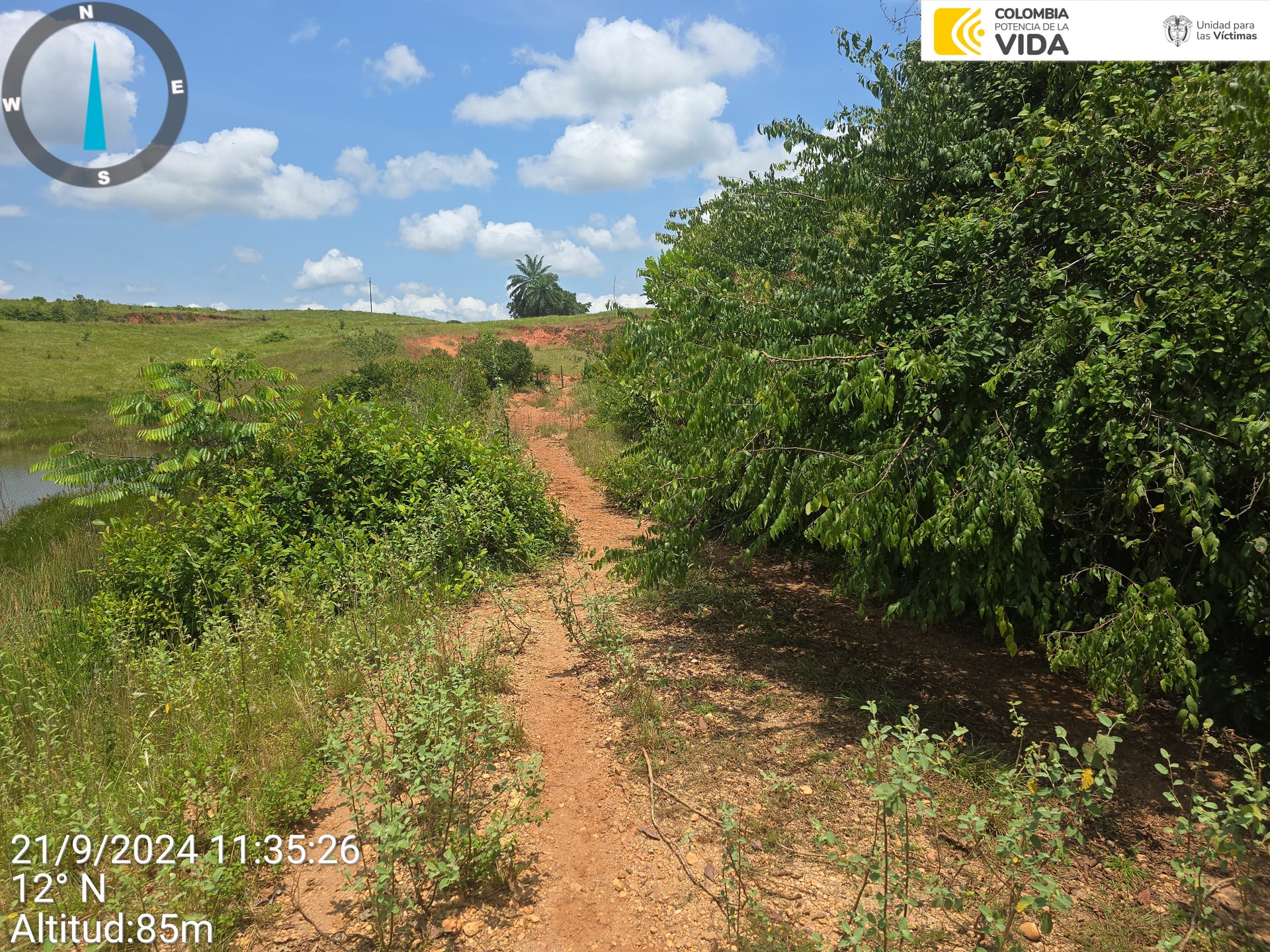 FINCA en Gestion - CAUCASIA, ANTIOQUIA - 51
