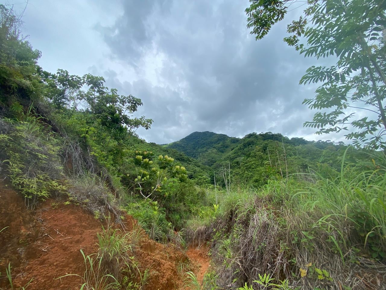 FINCA en Gestion - TARAZÁ, ANTIOQUIA - 3