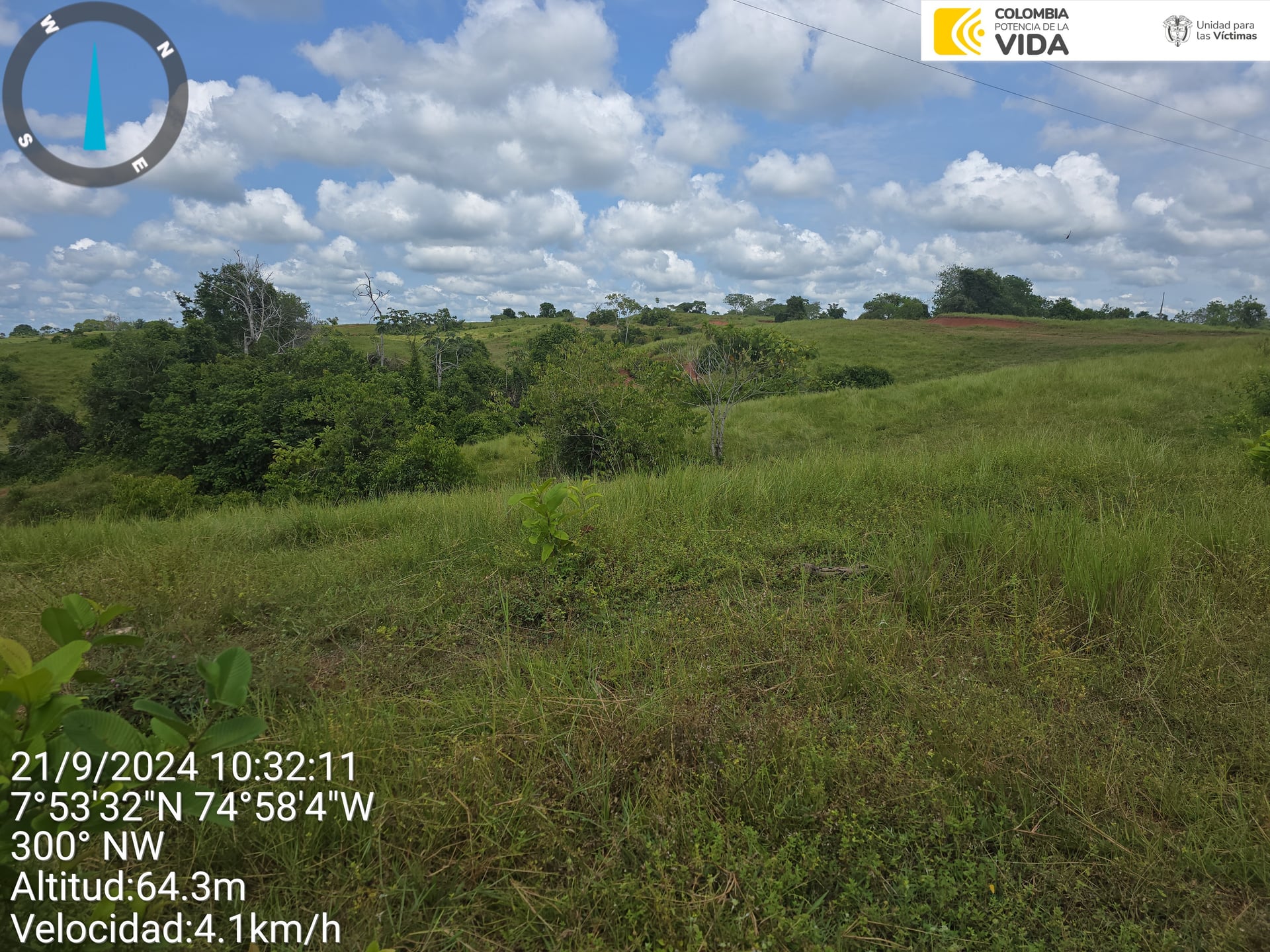 FINCA en Gestion - CAUCASIA, ANTIOQUIA - 42