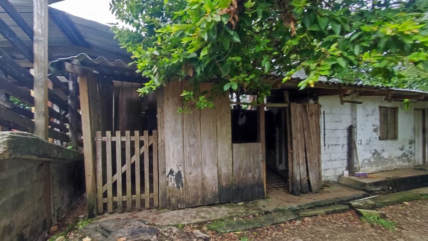 FINCA en Gestion - TARAZÁ, ANTIOQUIA - 3