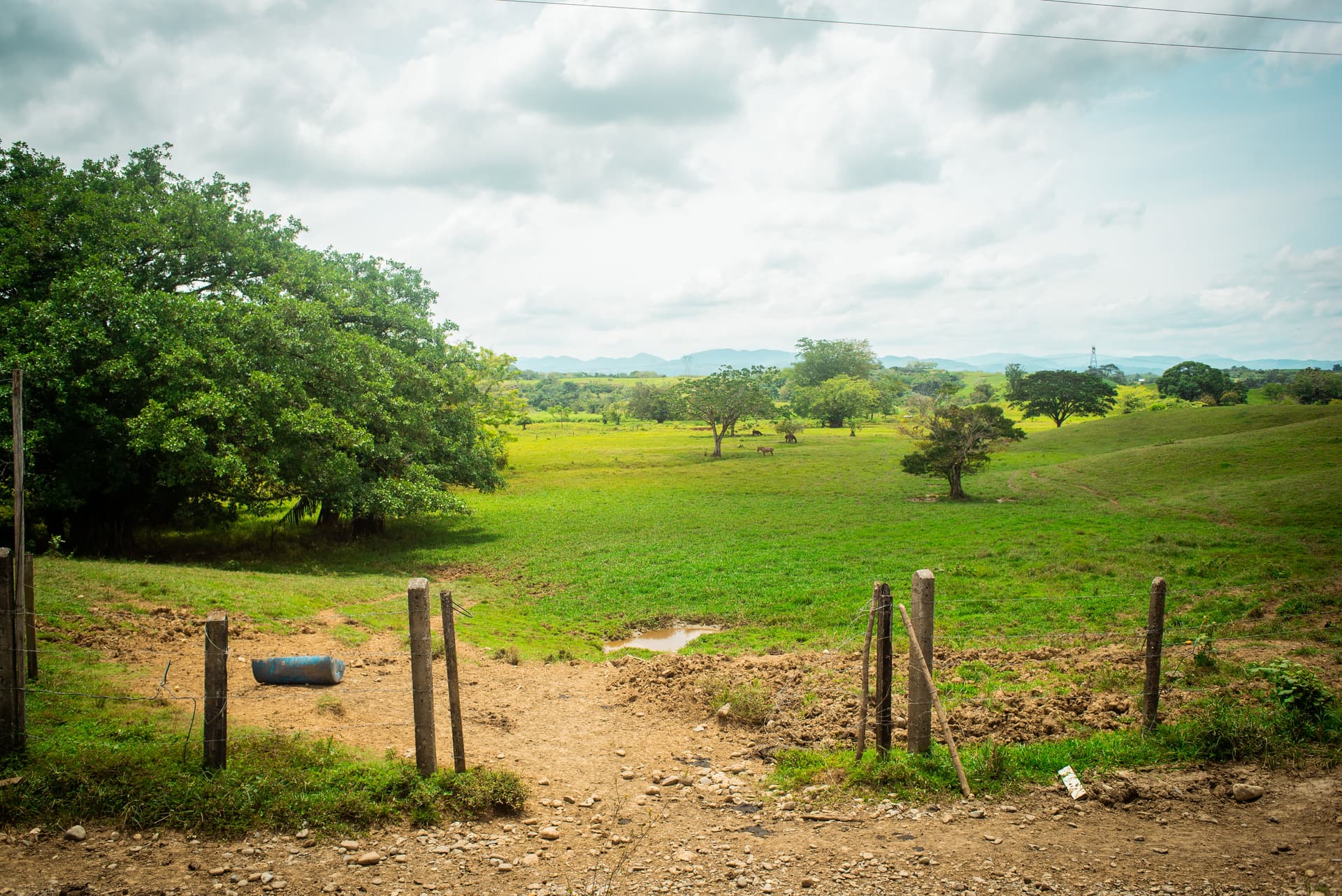 FINCA en Gestion - TARAZÁ, ANTIOQUIA - 9
