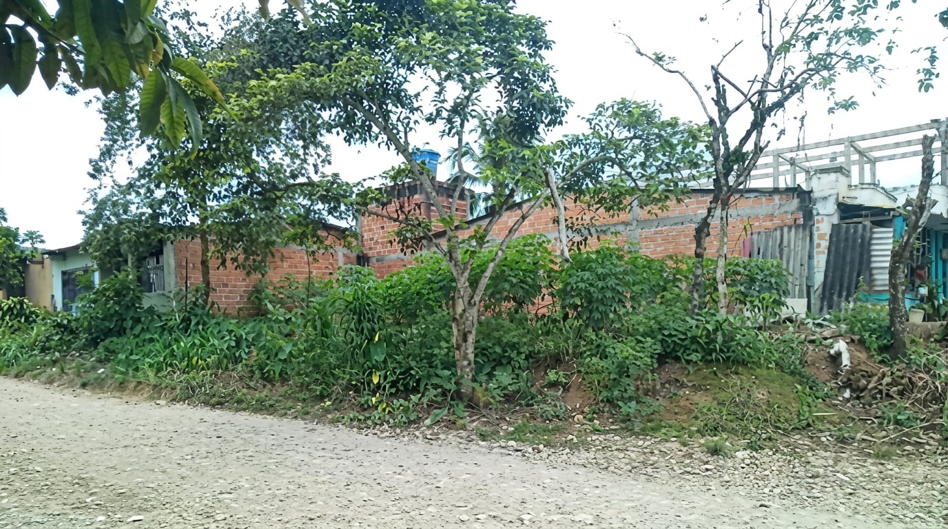 Lote en venta - Puerto Asís-Putumayo - 3