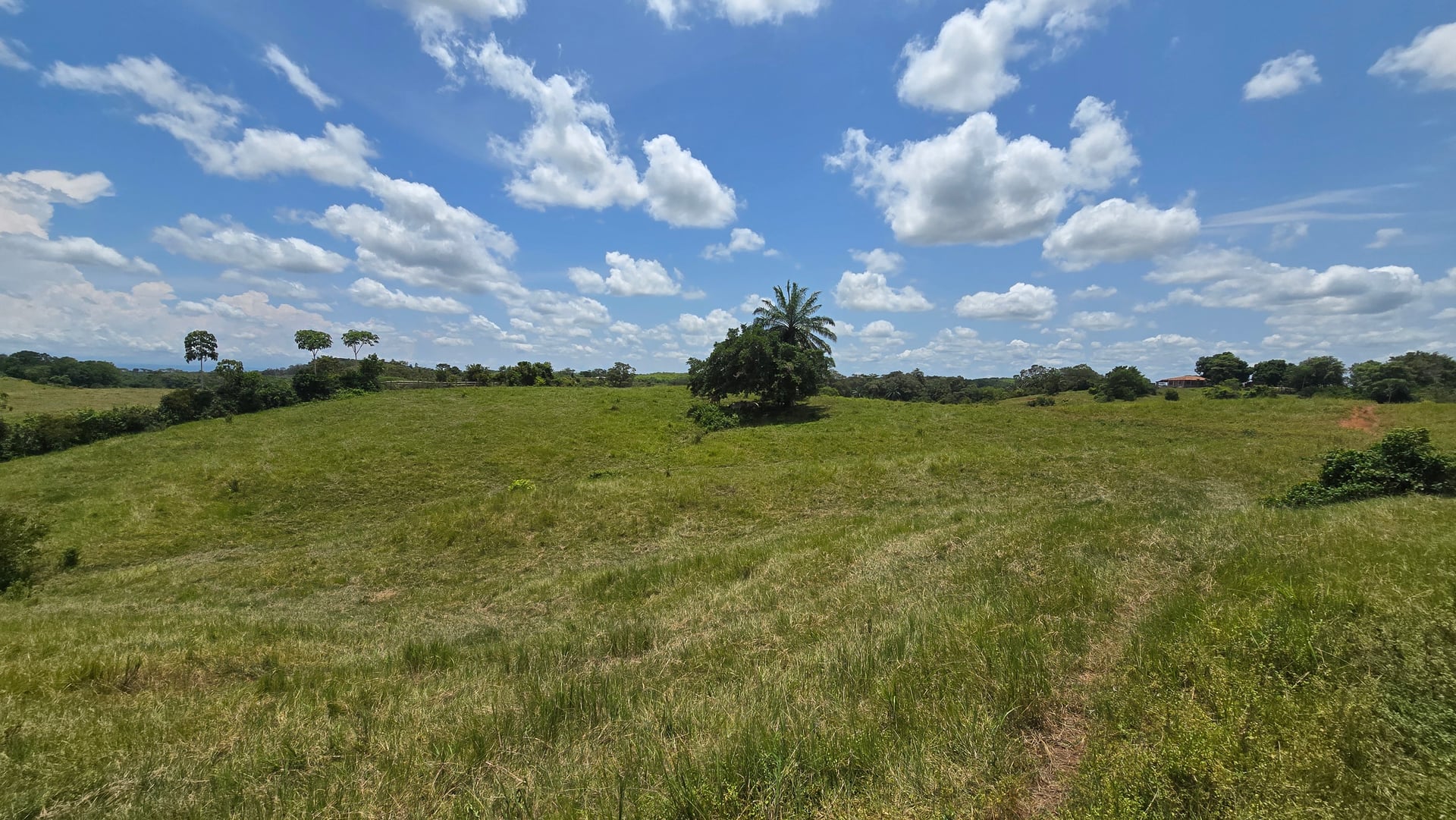 FINCA en Gestion - CAUCASIA, ANTIOQUIA - 40