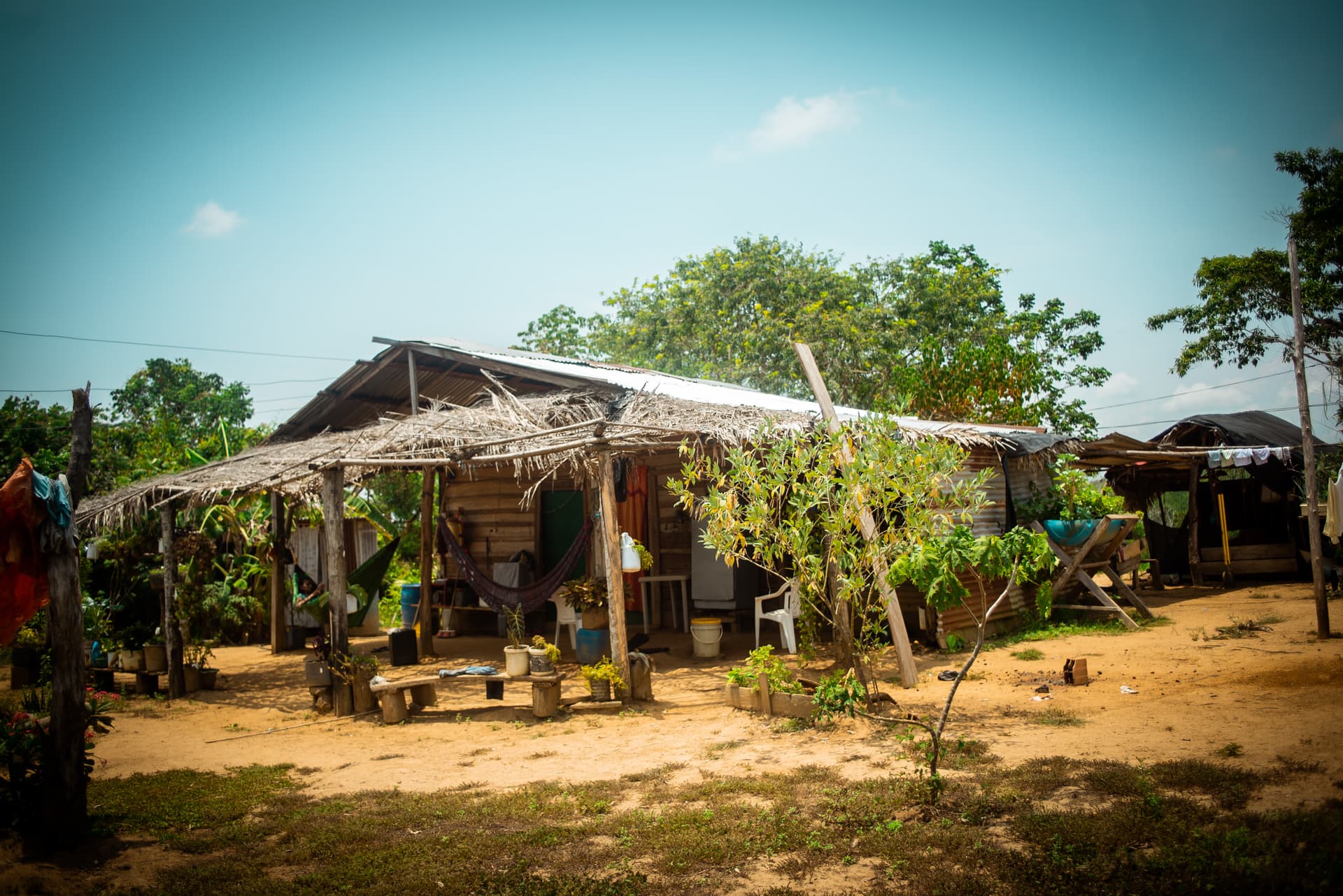 FINCA en Gestion - CÁCERES, ANTIOQUIA - 7