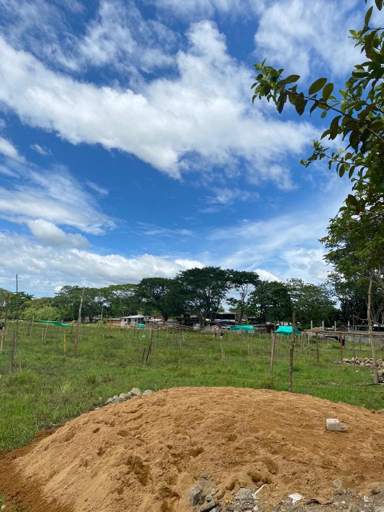 FINCA en Gestion - TARAZÁ, ANTIOQUIA - 5