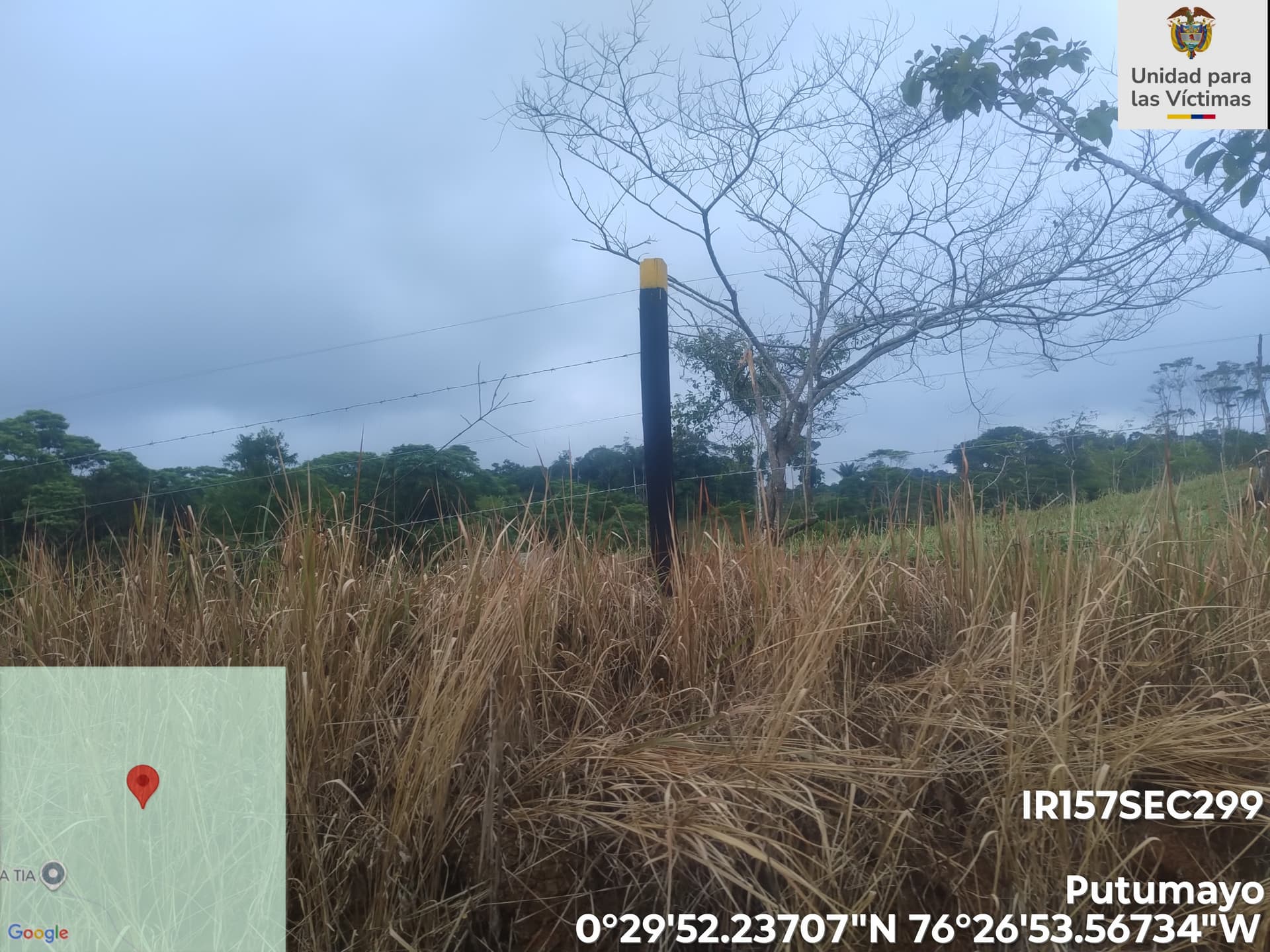 FINCA en Gestion - PUERTO ASÍS, PUTUMAYO - 7