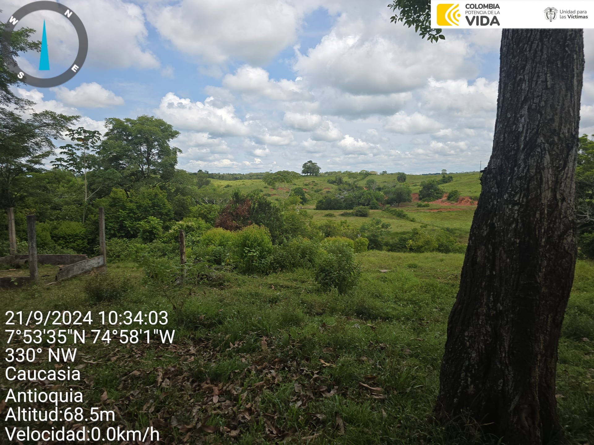 FINCA en Gestion - CAUCASIA, ANTIOQUIA - 12