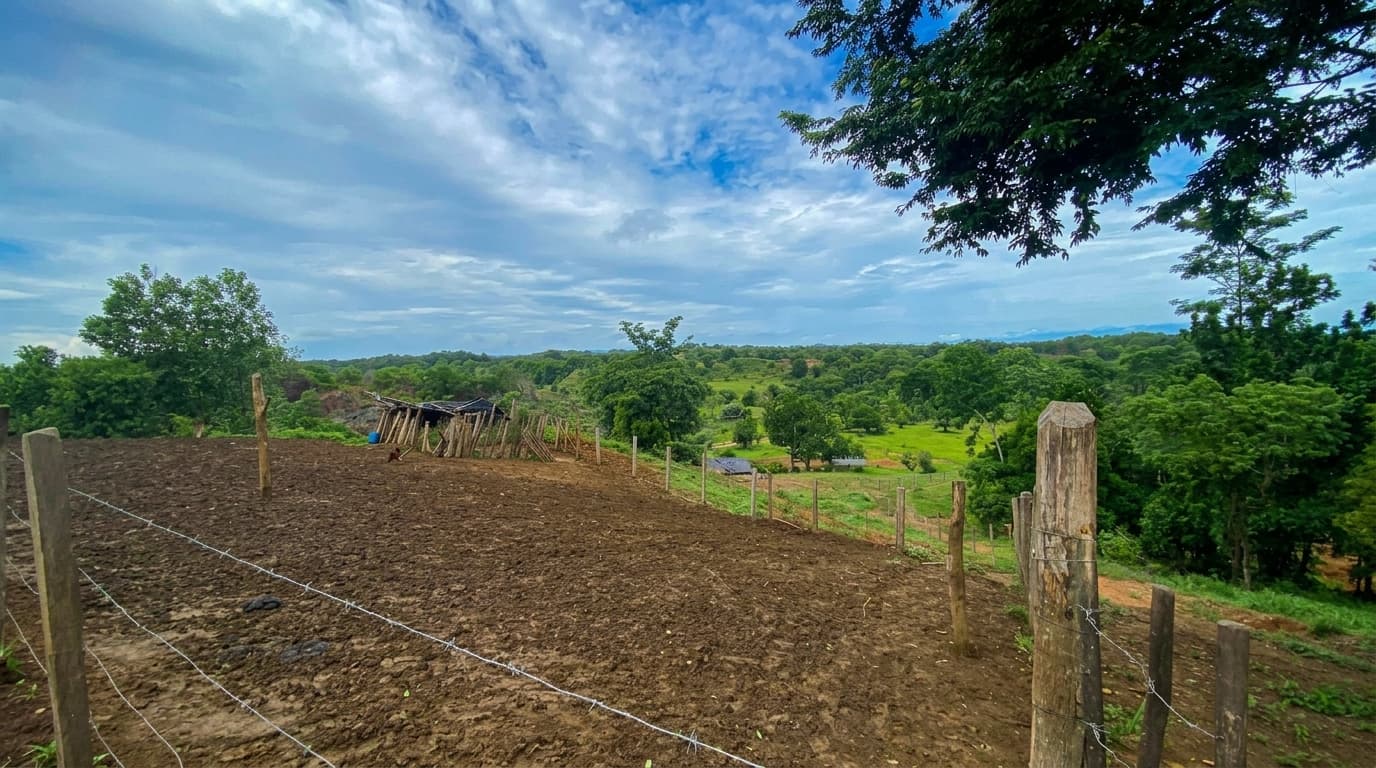 LOTE en Gestion - CÁCERES, ANTIOQUIA - 3