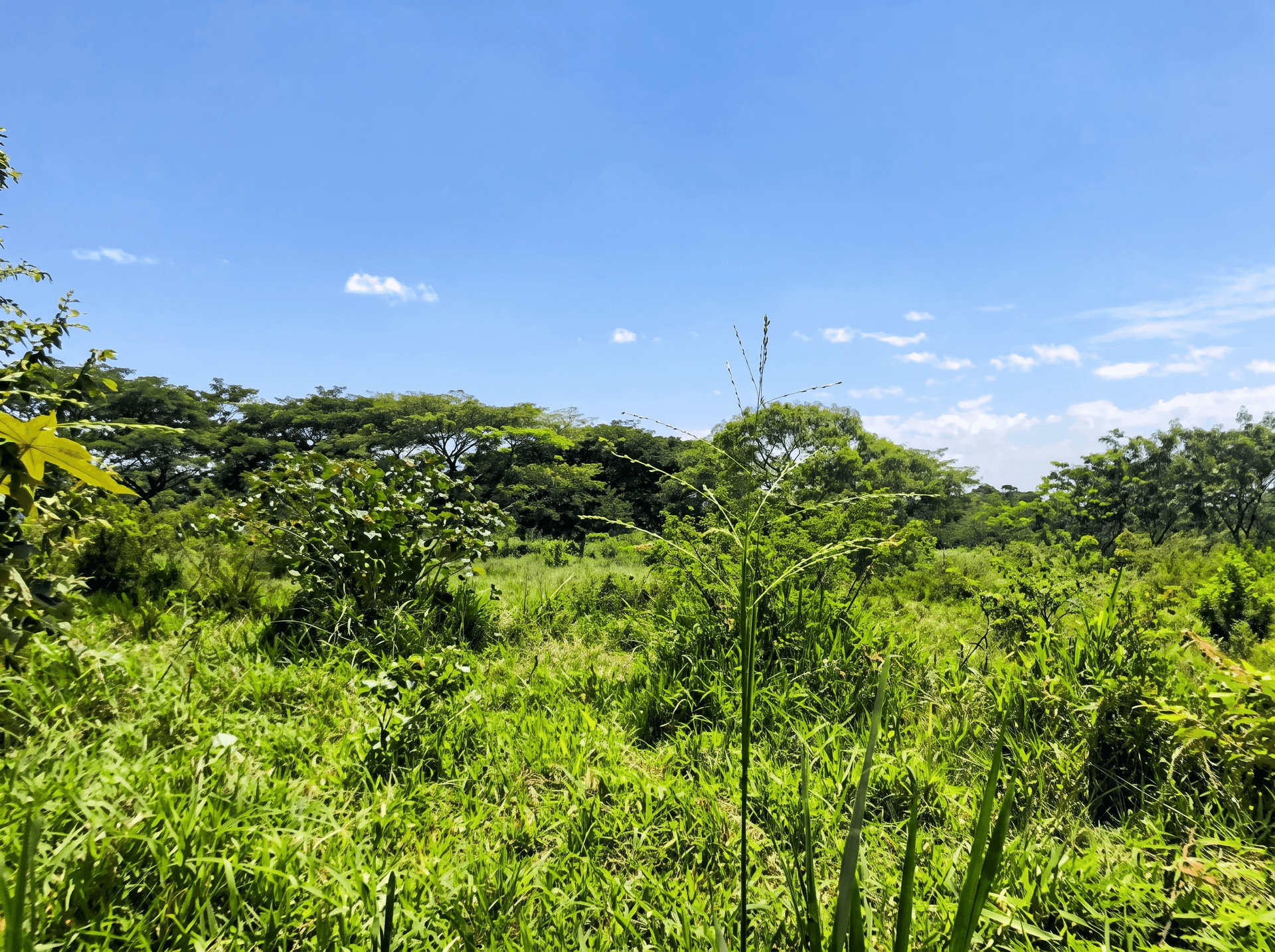 LOTE en Venta - Cali, Valle Del Cauca - 2