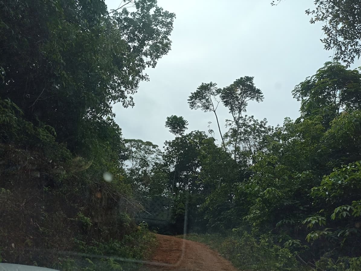 FINCA en Gestion - TARAZÁ, ANTIOQUIA - 1