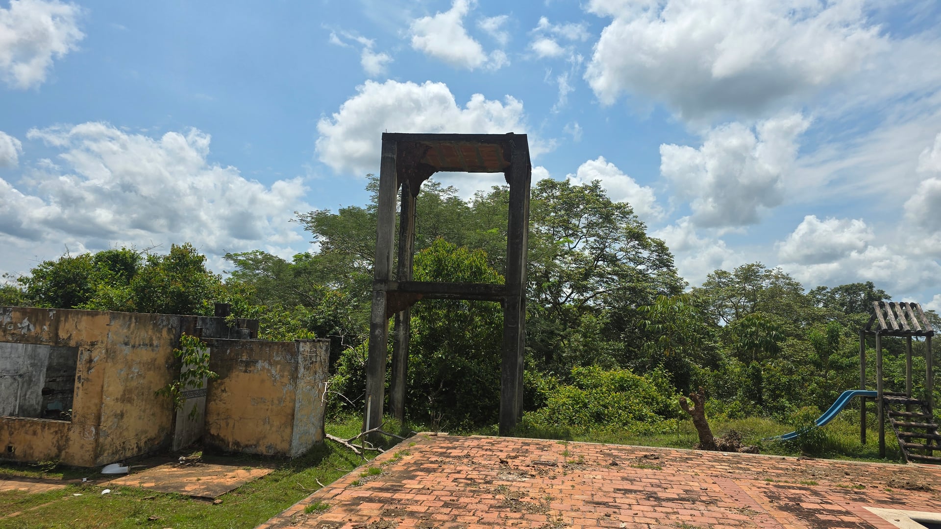 FINCA en Gestion - CAUCASIA, ANTIOQUIA - 49