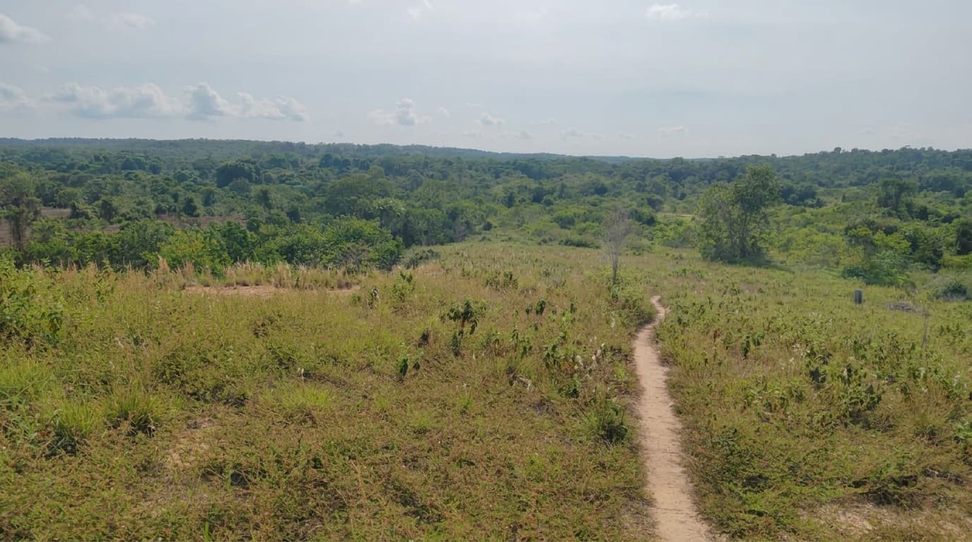 FINCA en Gestion - PUERTO PARRA, SANTANDER - 4