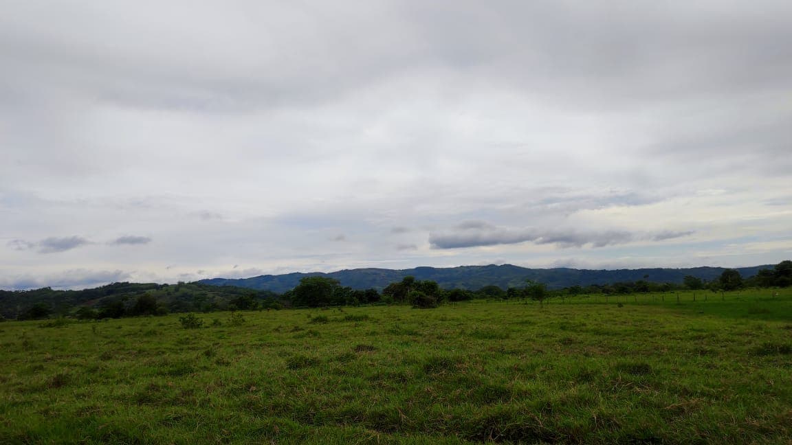 FINCA en Gestion - TARAZÁ, ANTIOQUIA - 12