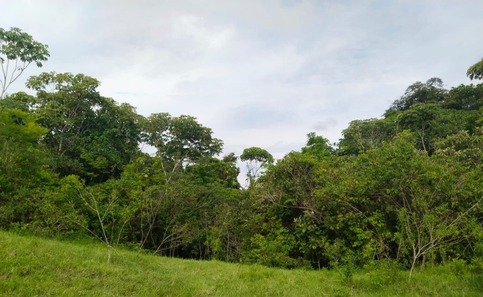 FINCA en Gestion - TARAZÁ, ANTIOQUIA