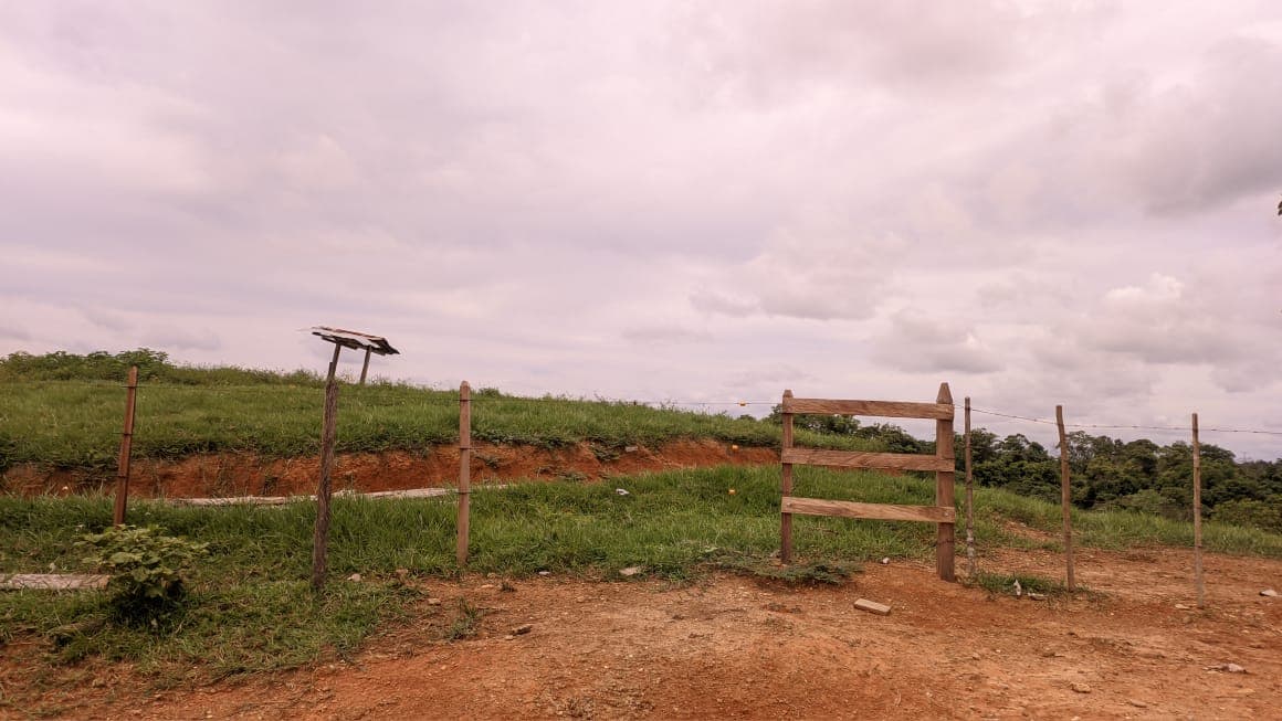 FINCA en Gestion - TARAZÁ, ANTIOQUIA - 6
