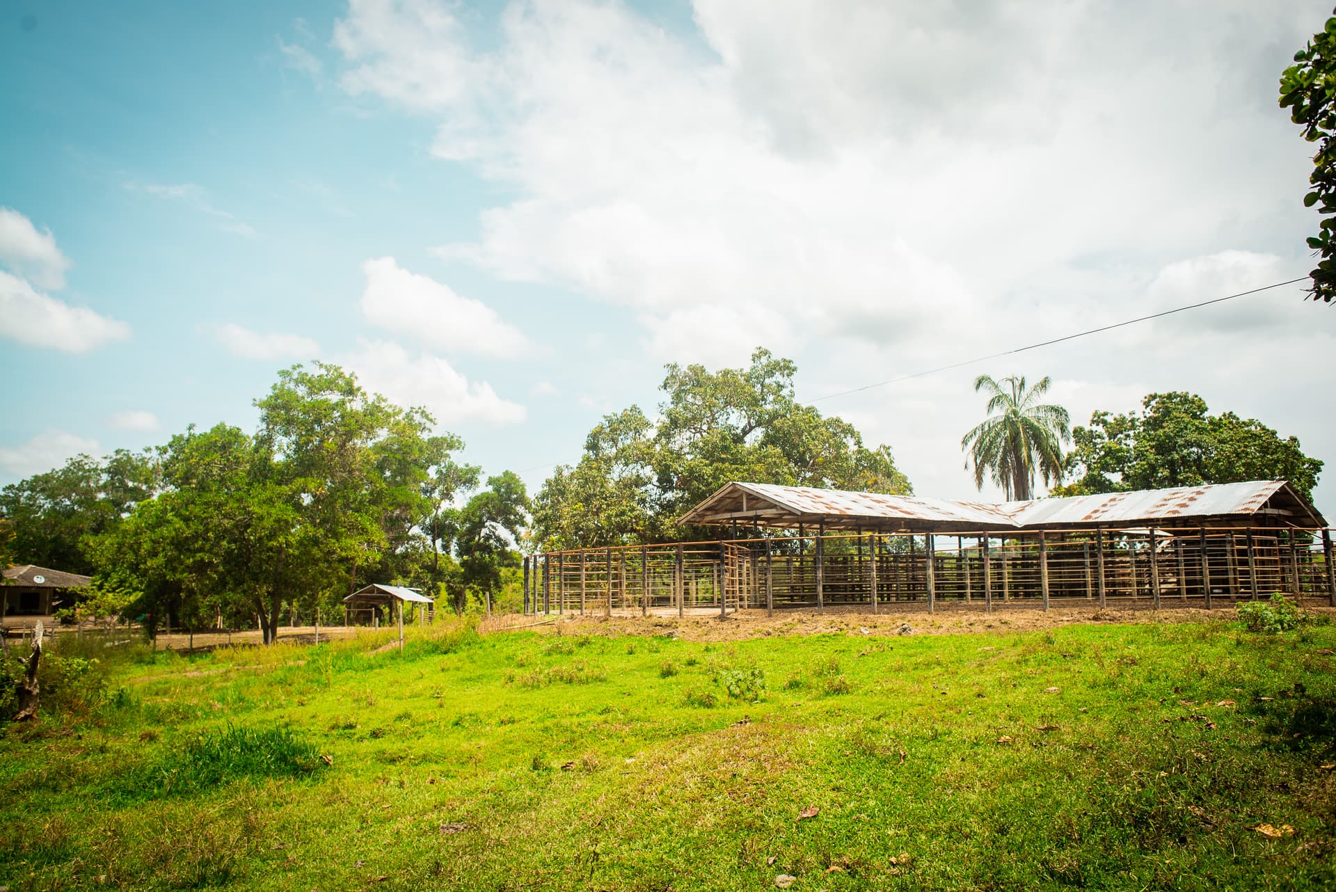 FINCA en Gestion - TARAZÁ, ANTIOQUIA - 7