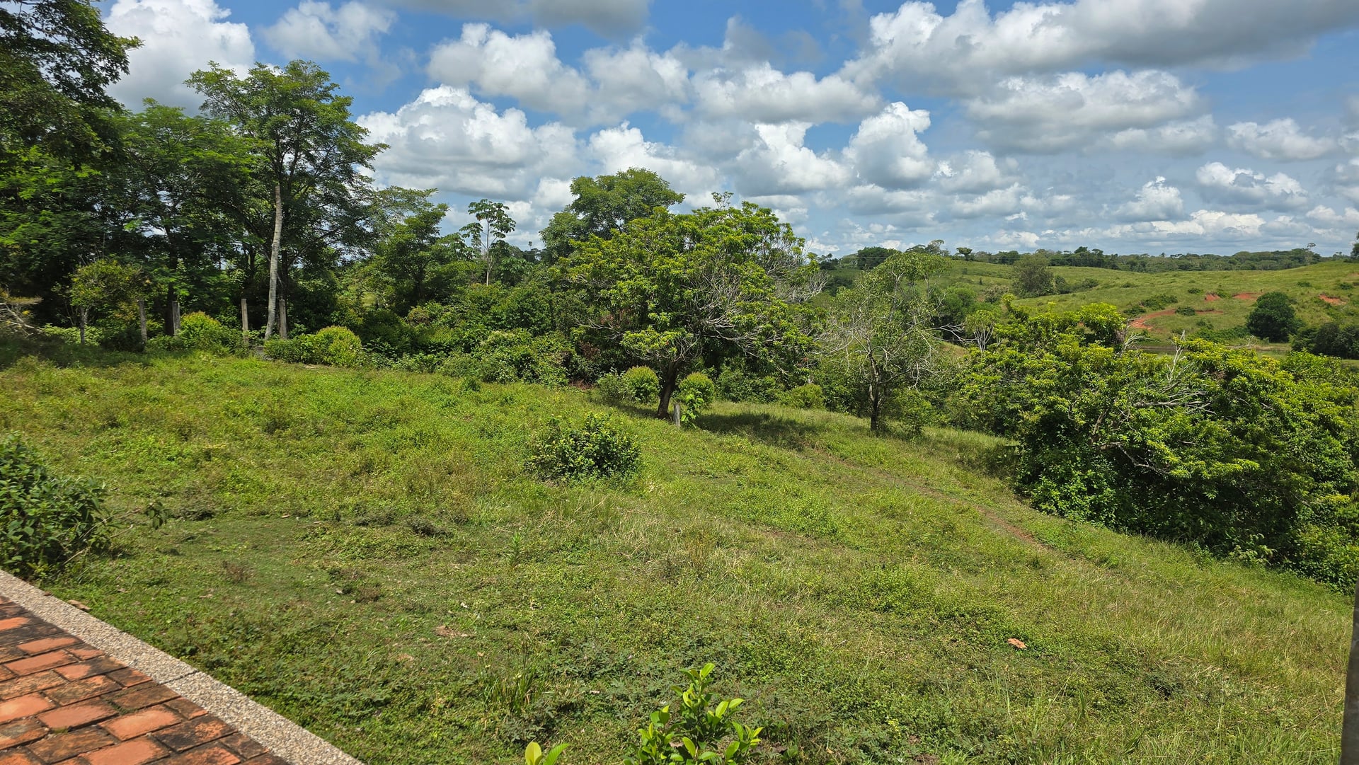 FINCA en Gestion - CAUCASIA, ANTIOQUIA - 18