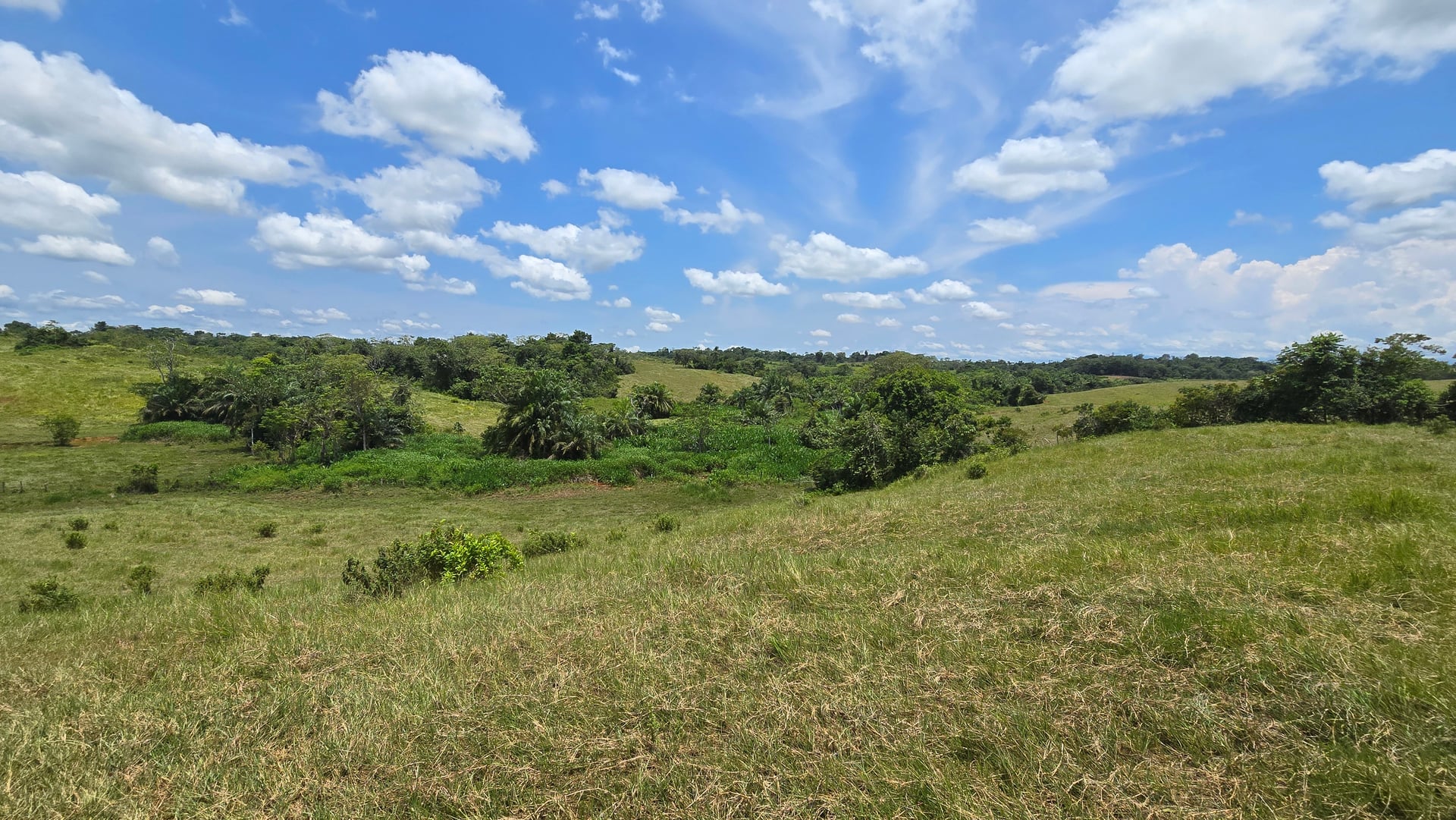 FINCA en Gestion - CAUCASIA, ANTIOQUIA - 32