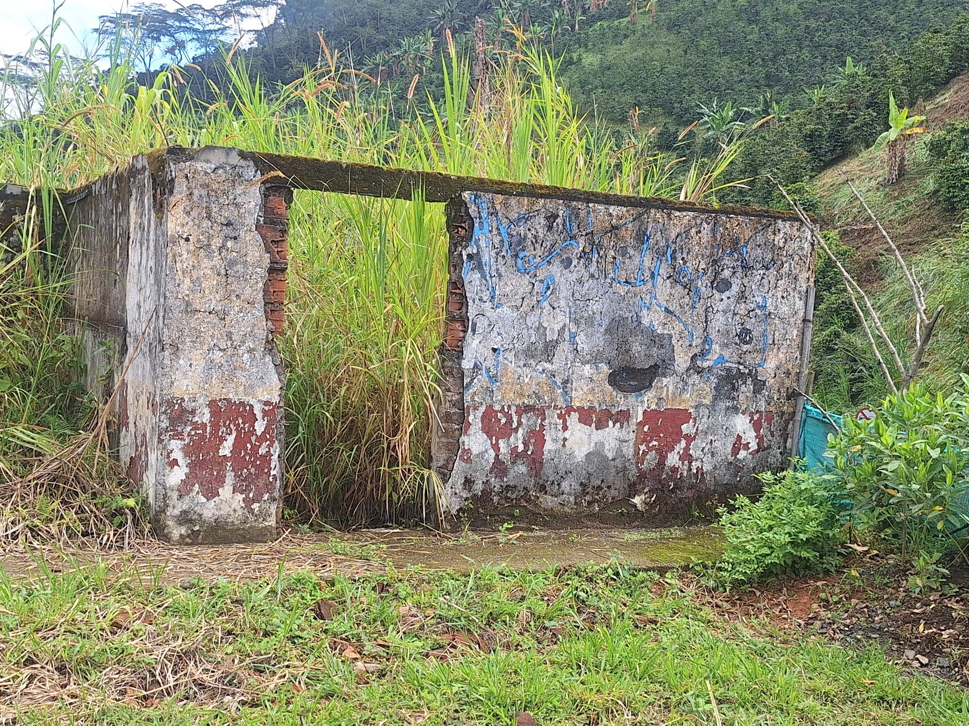FINCA en Gestion - PEREIRA, RISARALDA - 10