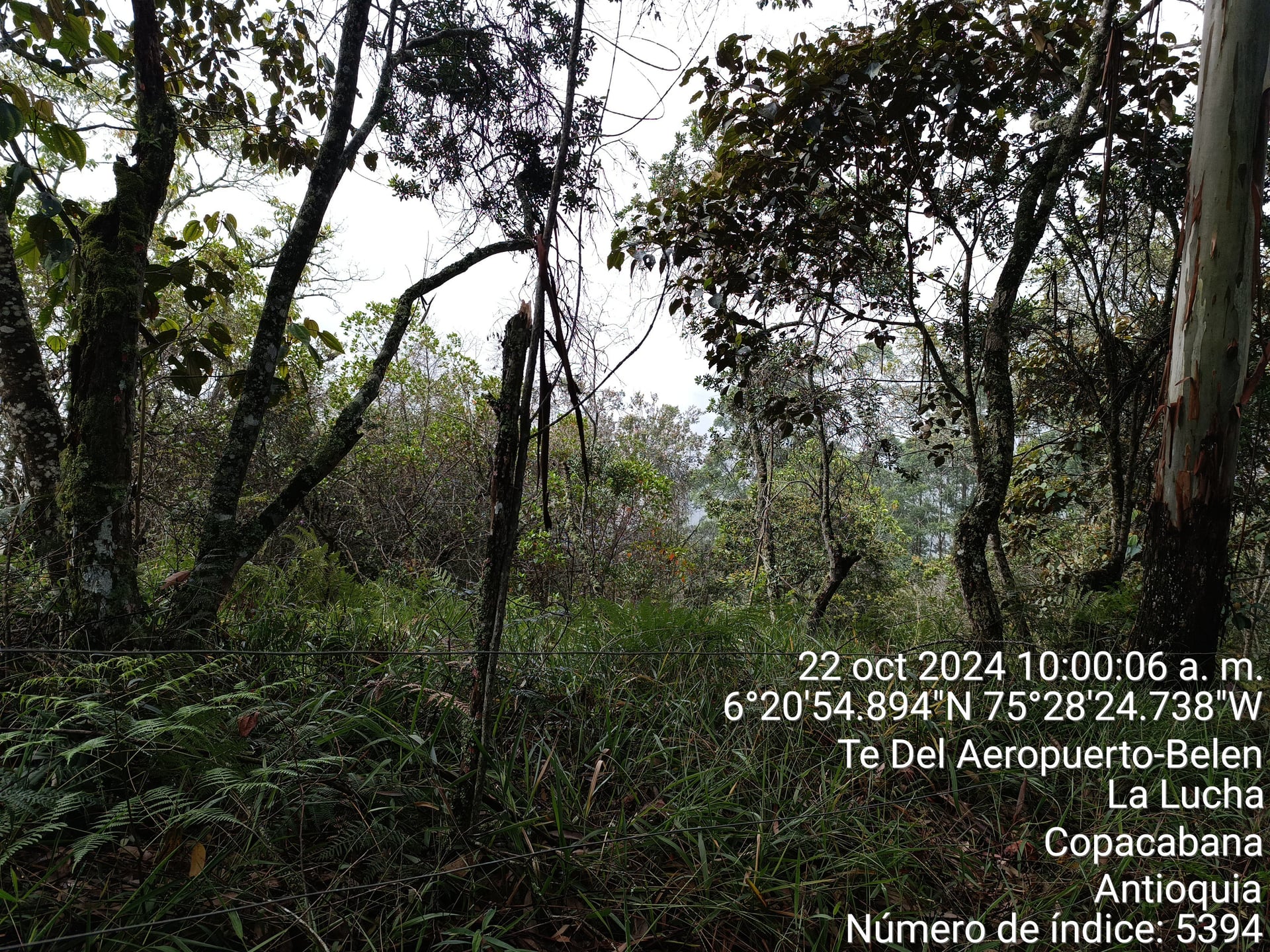 FINCA en Gestion - COPACABANA, ANTIOQUIA - 10