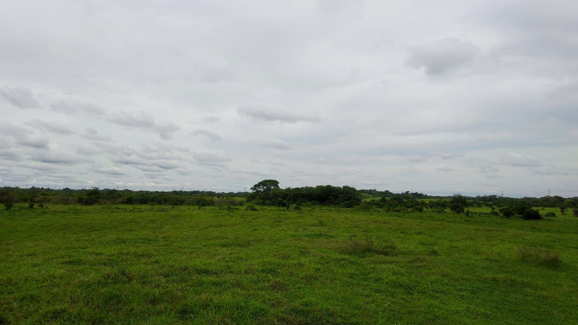 FINCA en Gestion - TARAZÁ, ANTIOQUIA - 18