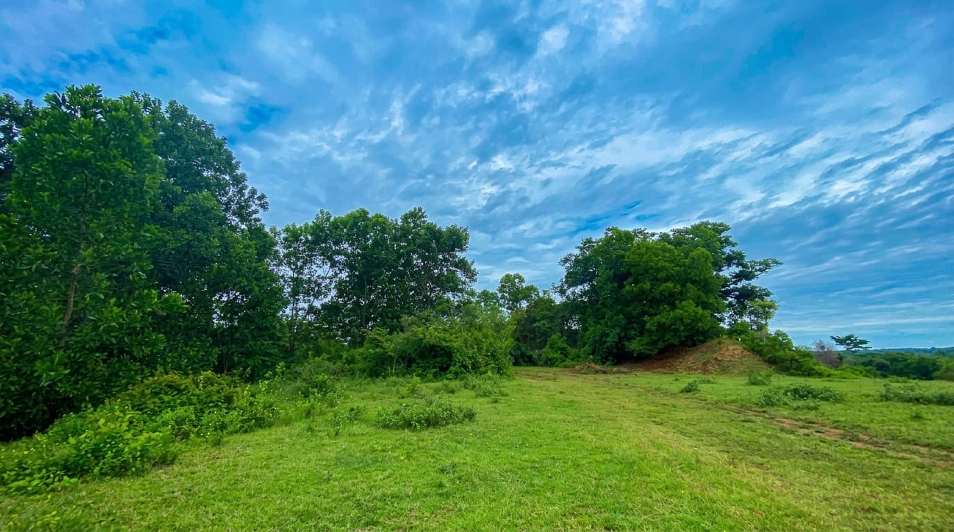 LOTE en Gestion - CÁCERES, ANTIOQUIA