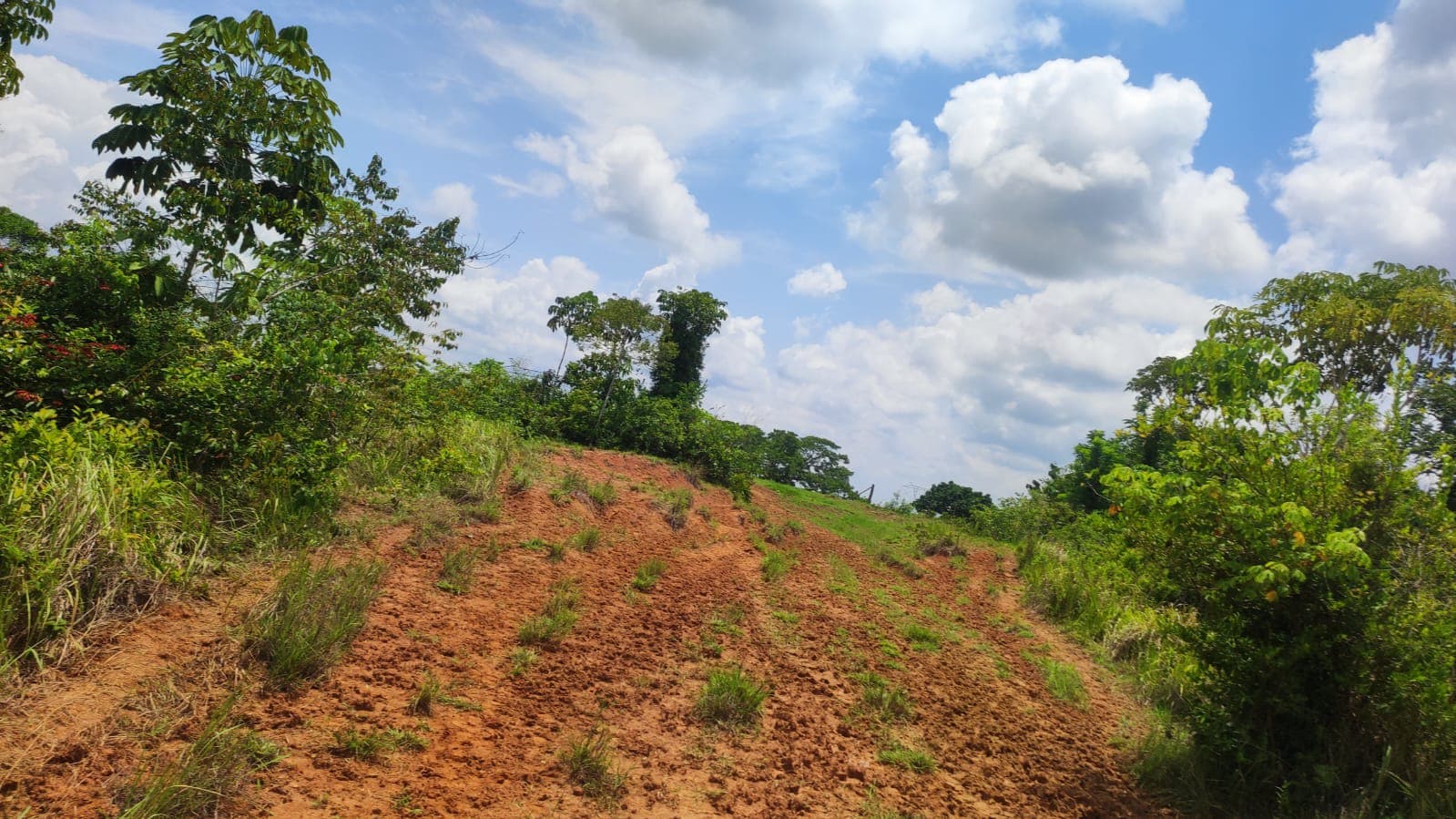 FINCA en Gestion - TARAZÁ, ANTIOQUIA - 8