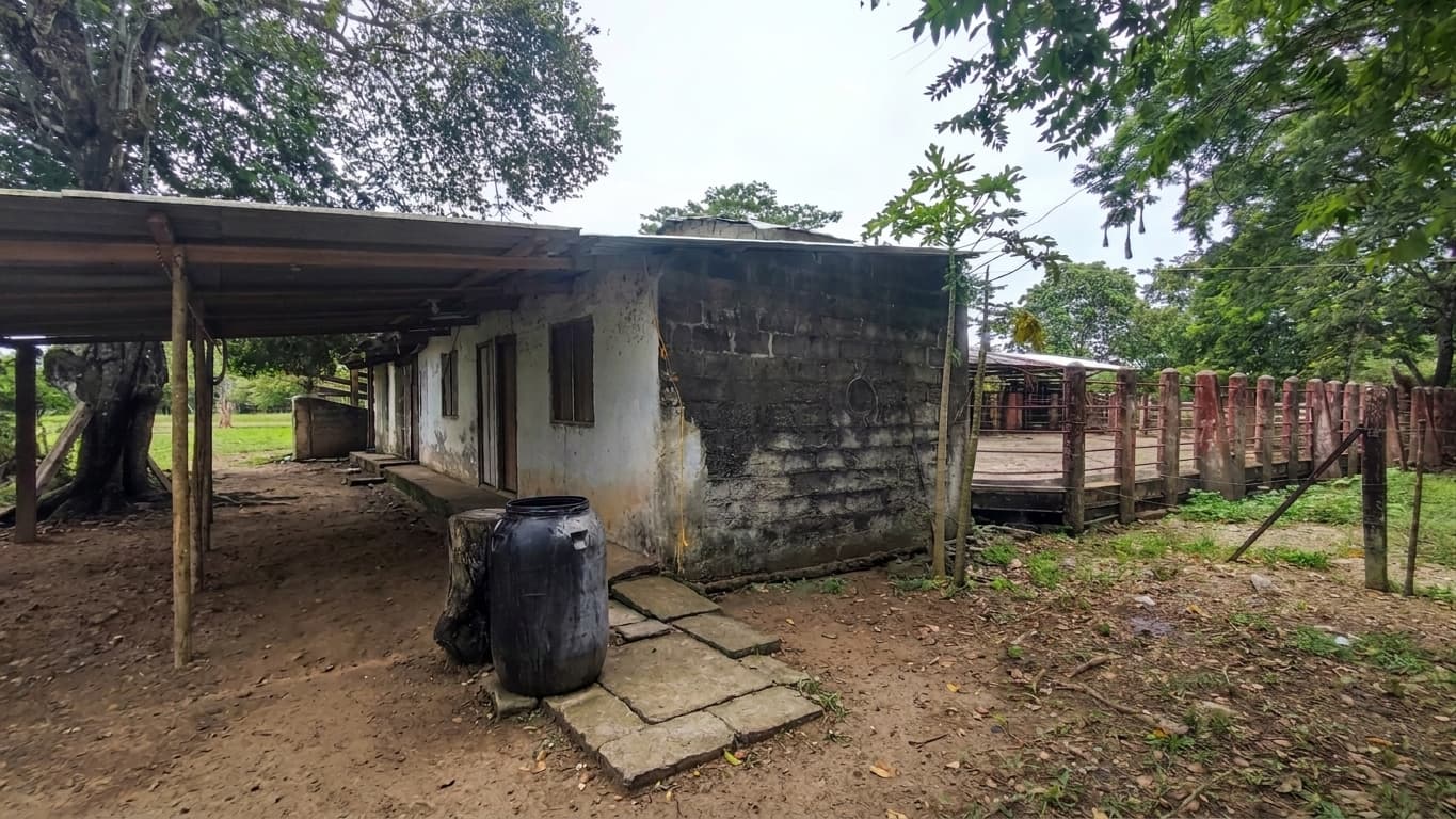 FINCA en Gestion - TARAZÁ, ANTIOQUIA - 23