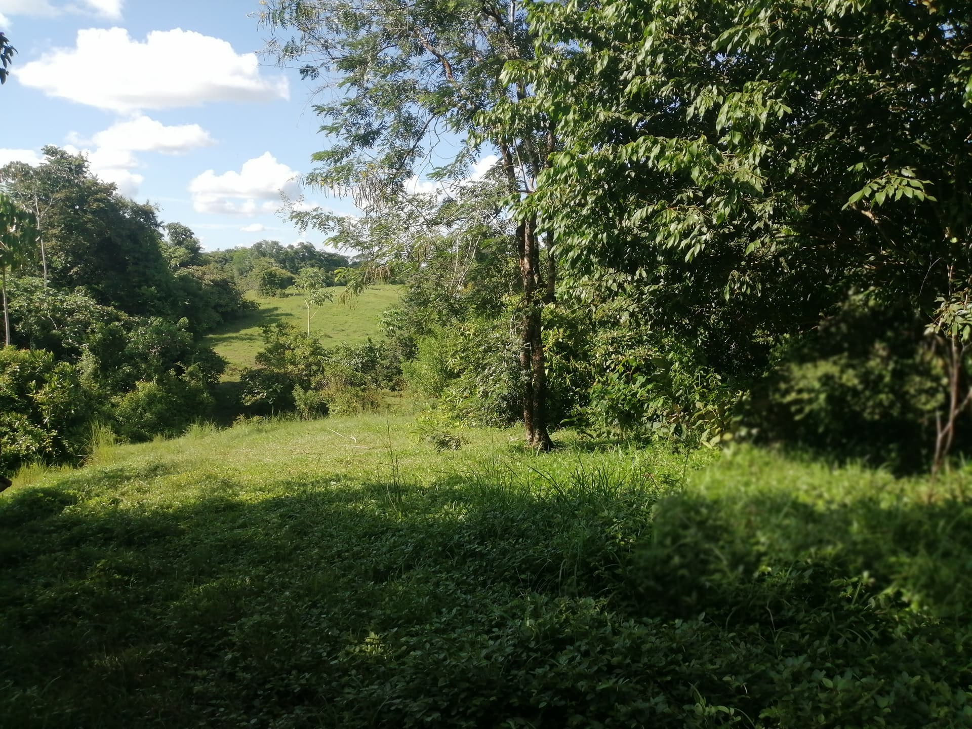 Finca en Venta - Taraza, Antioquia - 6