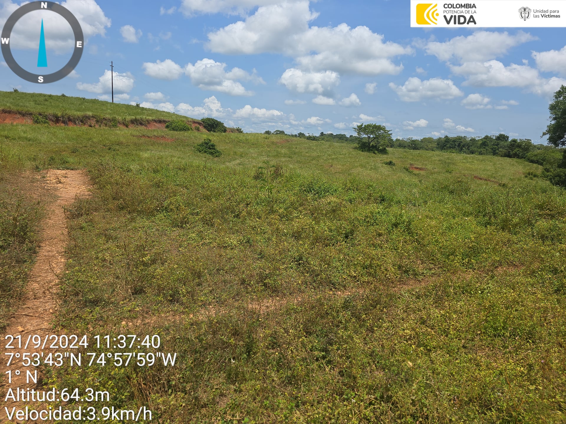 FINCA en Gestion - CAUCASIA, ANTIOQUIA - 29