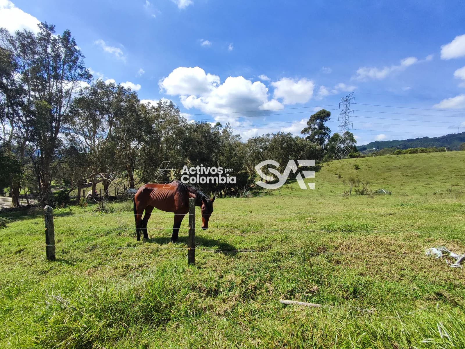 Lote en venta -Rionegro, Antioquia - 4